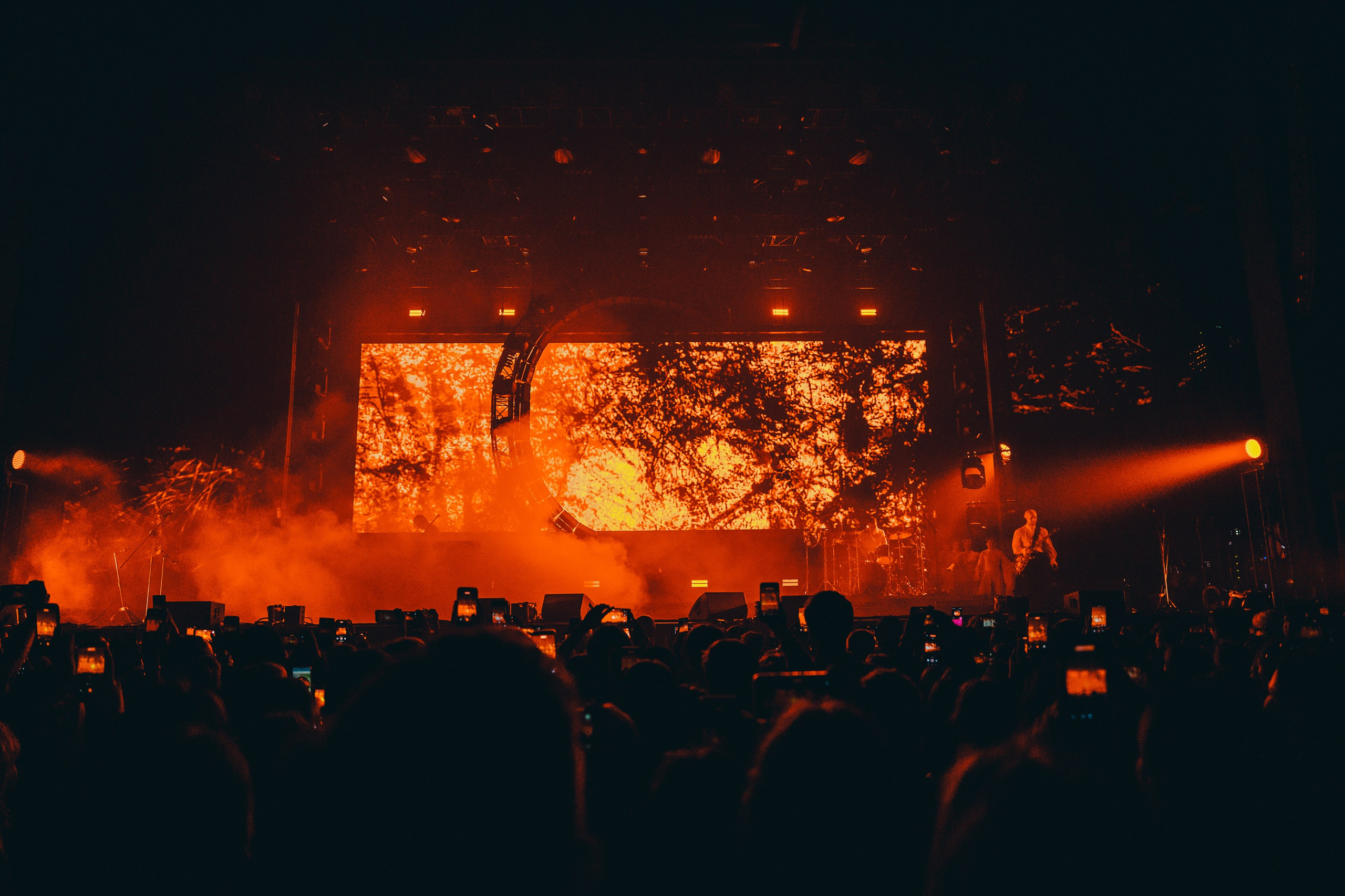 Polnalyubvi. Магия музыки в кадре: Концертная Фотография