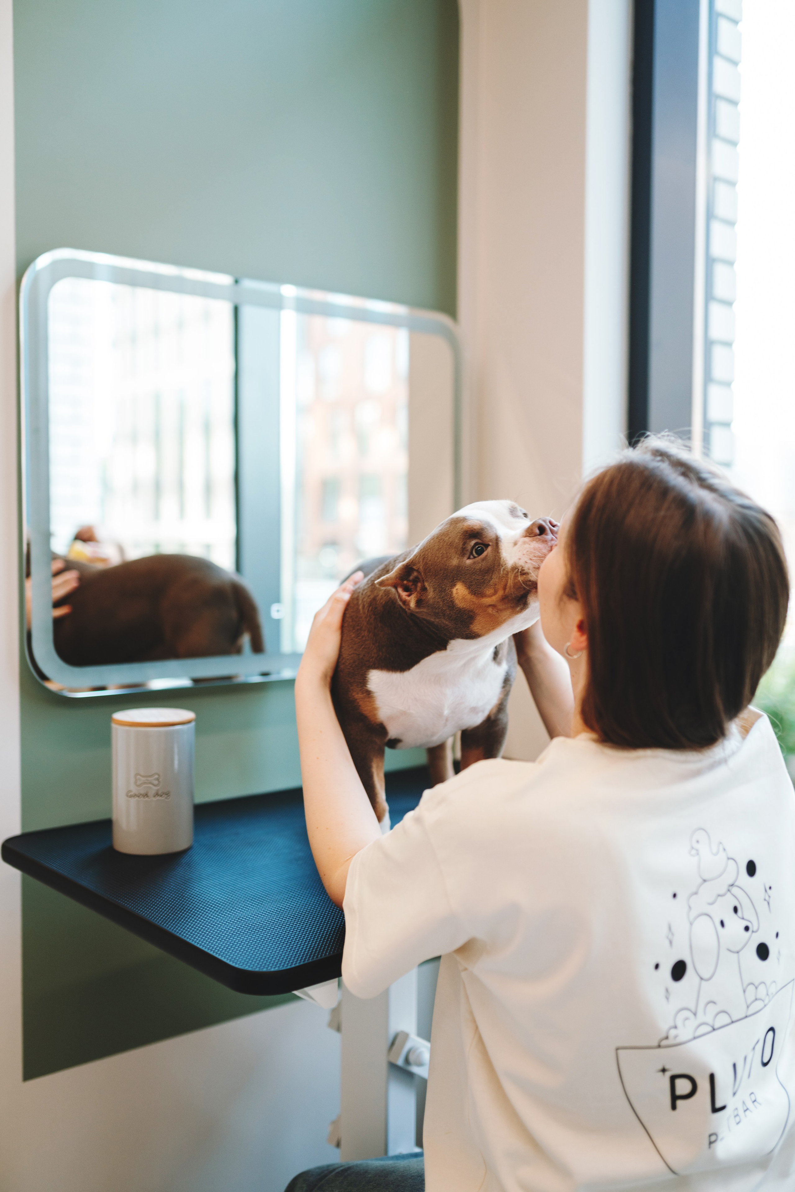Груминг-салон. Фотограф анималист Осипчикова Мария