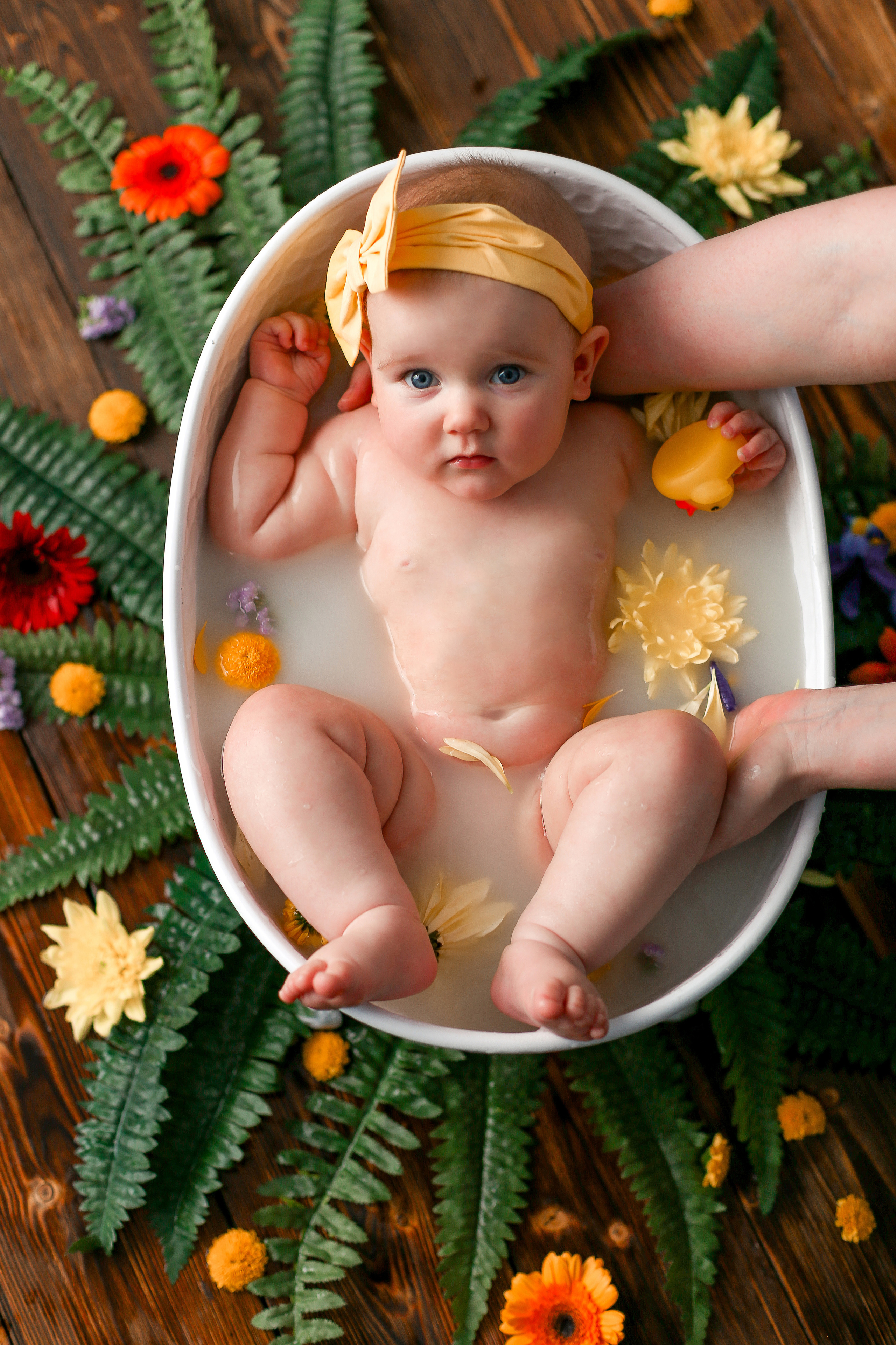 Молочные купания. Детская фотостудия в Санкт-Петербурге