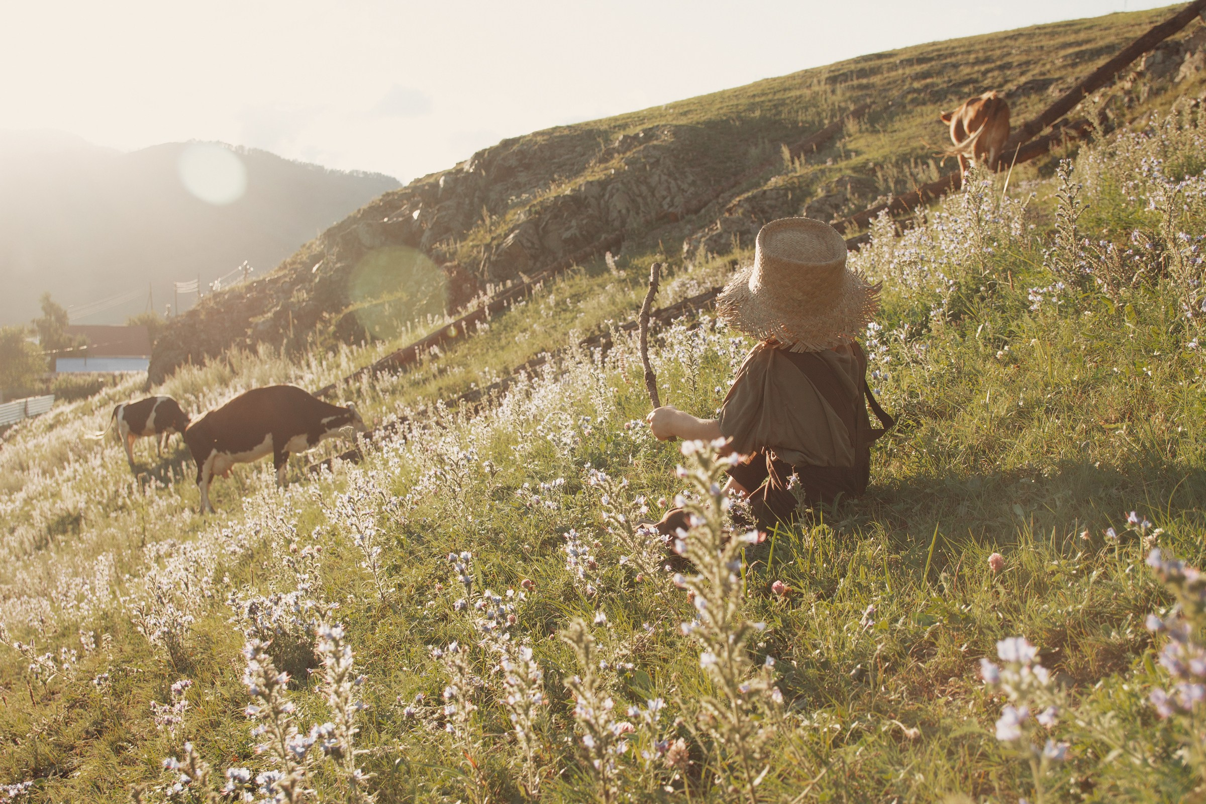 Пастушок. Детский и семейный фотограф в Бердске и Новосибирске Дарья Гребнева