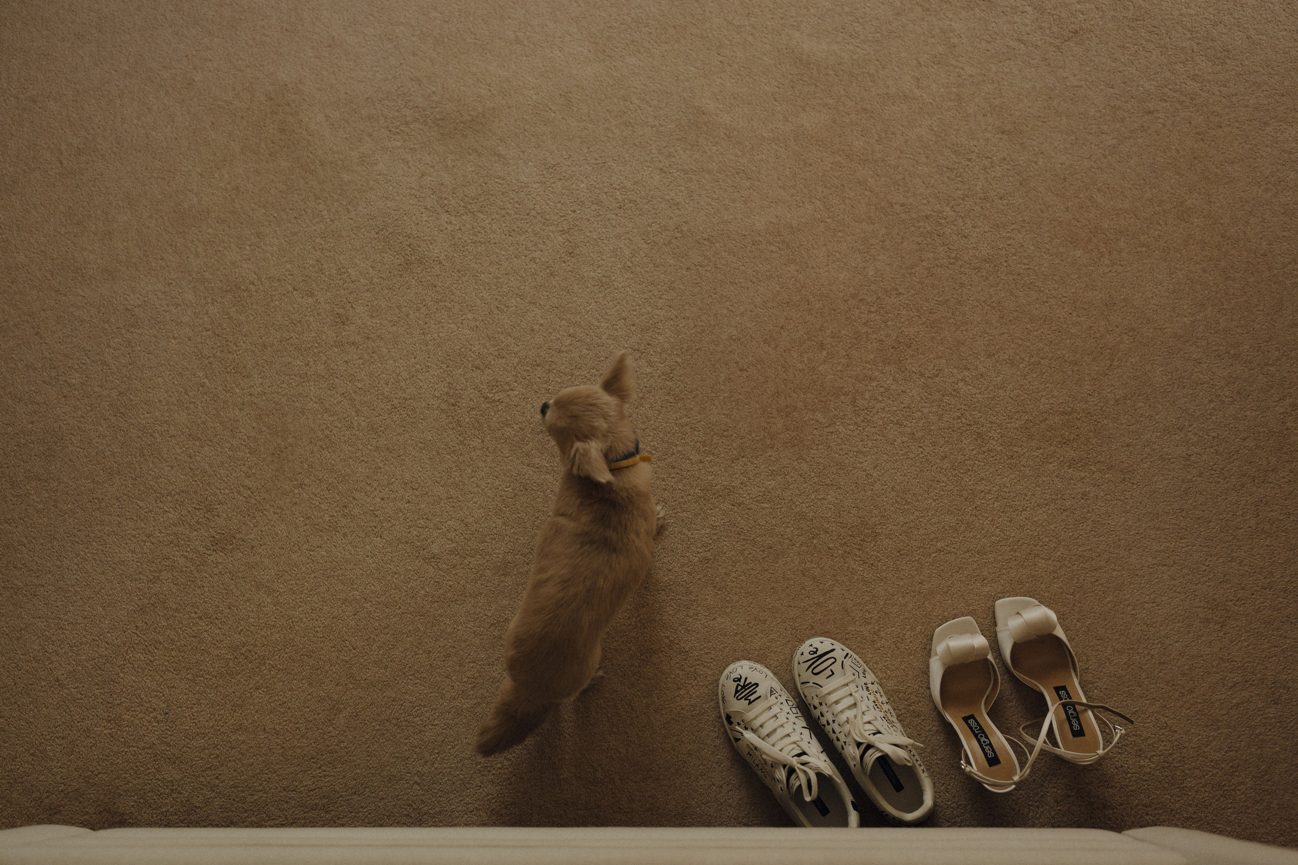 Скандинавия. Фотограф в Санкт-Петербурге Александр Дымов