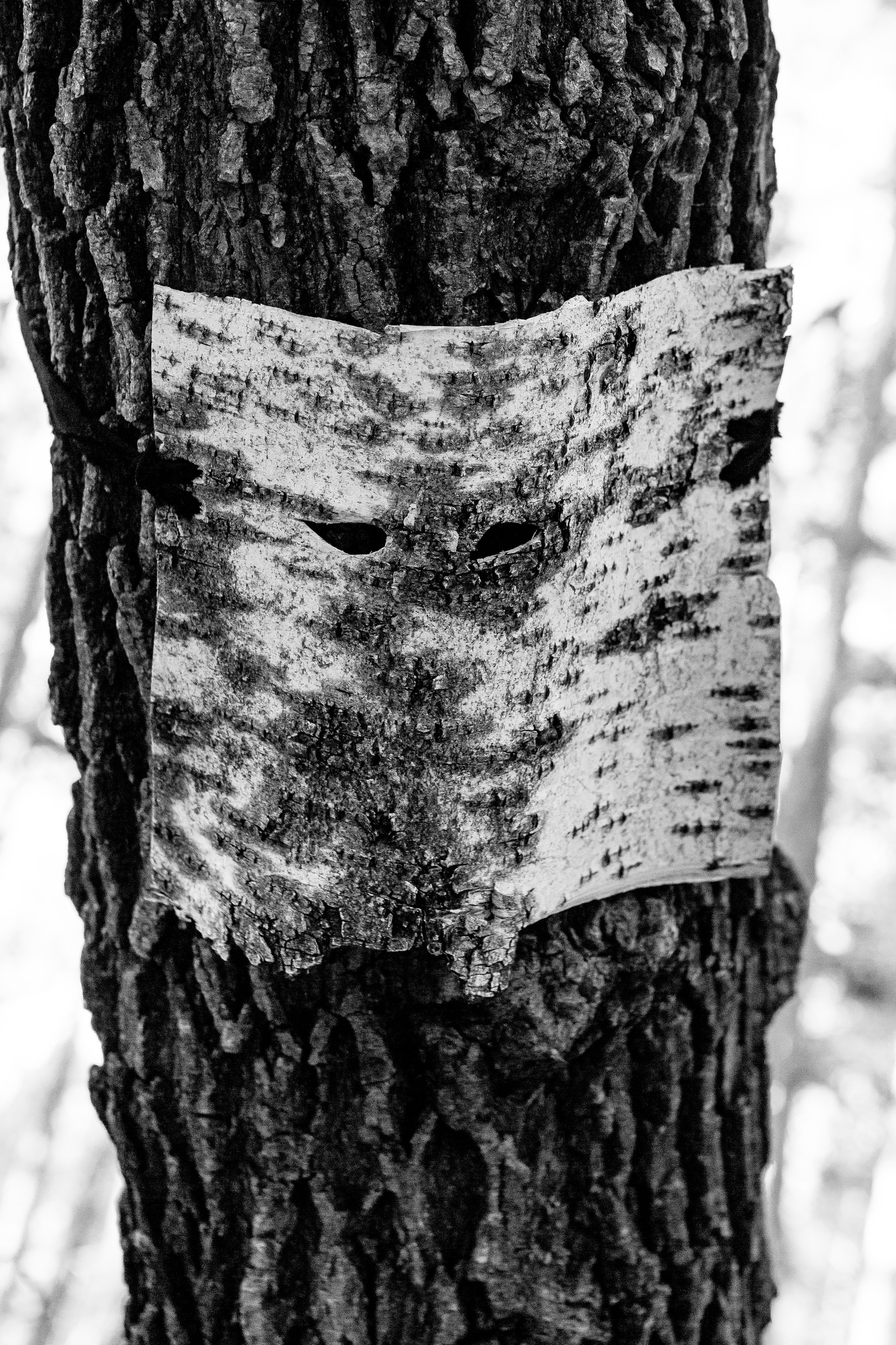 Время ведьм. Фотограф Екатерина Голицына