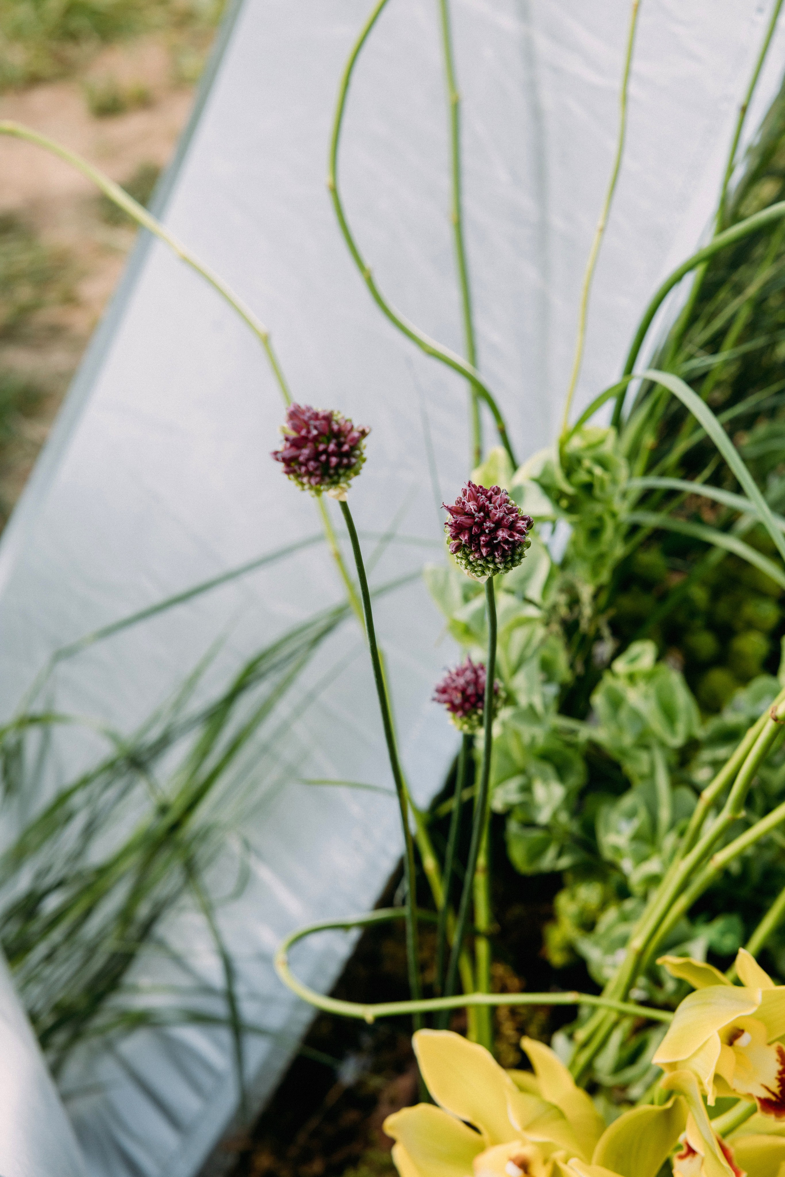 @avtors.agency. Свадебный и репортажный фотограф в Москве Владимир Сергеев | Naysaikolo