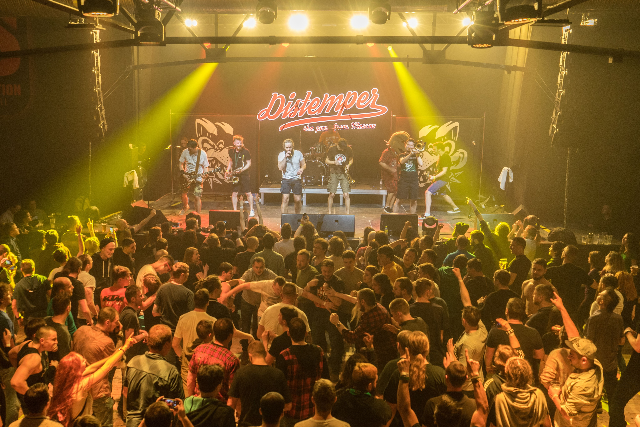 Distamper. Твой фотограф — Полосатый кот