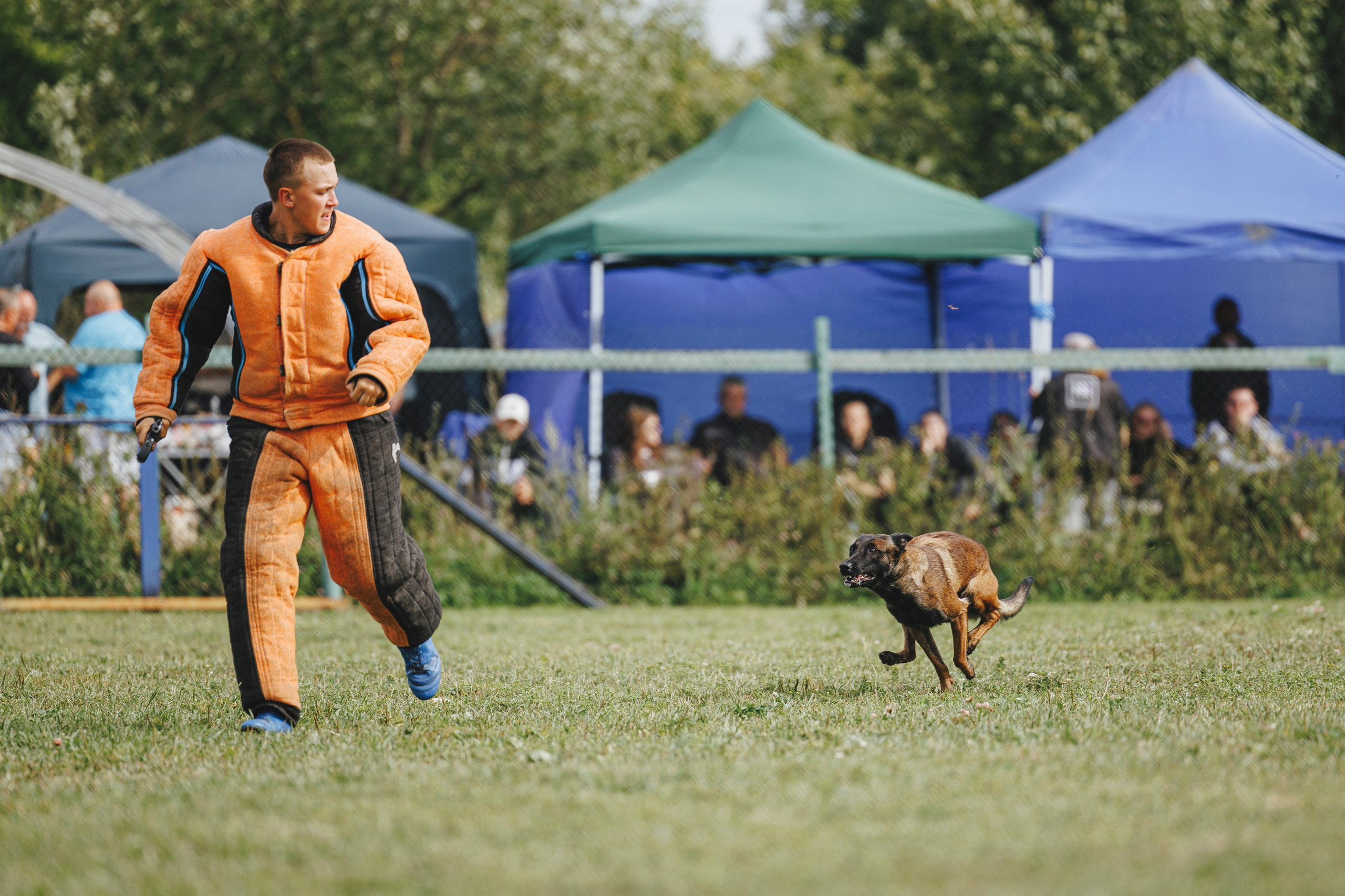 08.08.25-10.08.25 ЧР по мондьорингу г. Вологда. Фотограф-анималист Анна Маринич