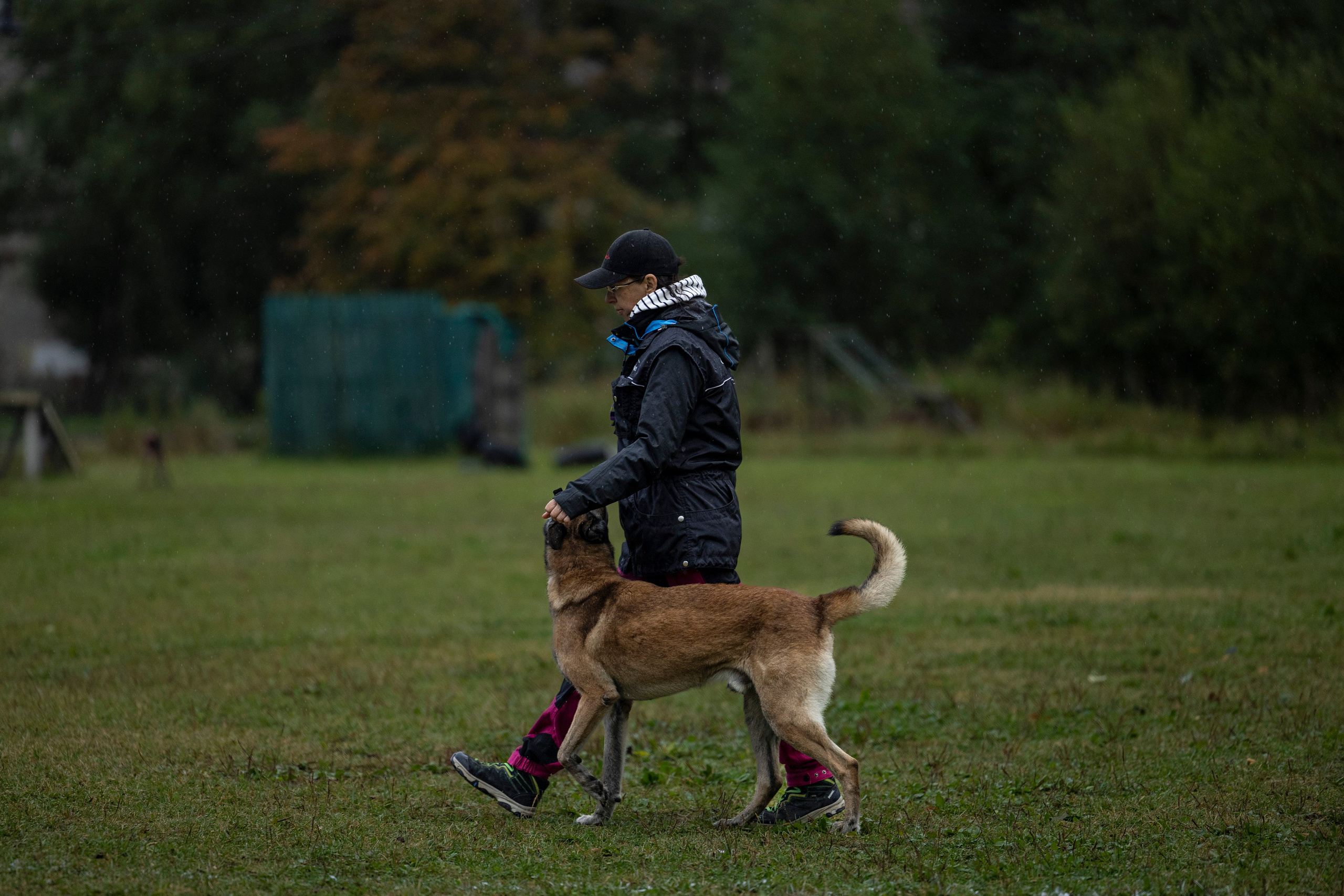 Испытания по Мондьорингу г. Пушкин. Фотограф-анималист Анна Маринич