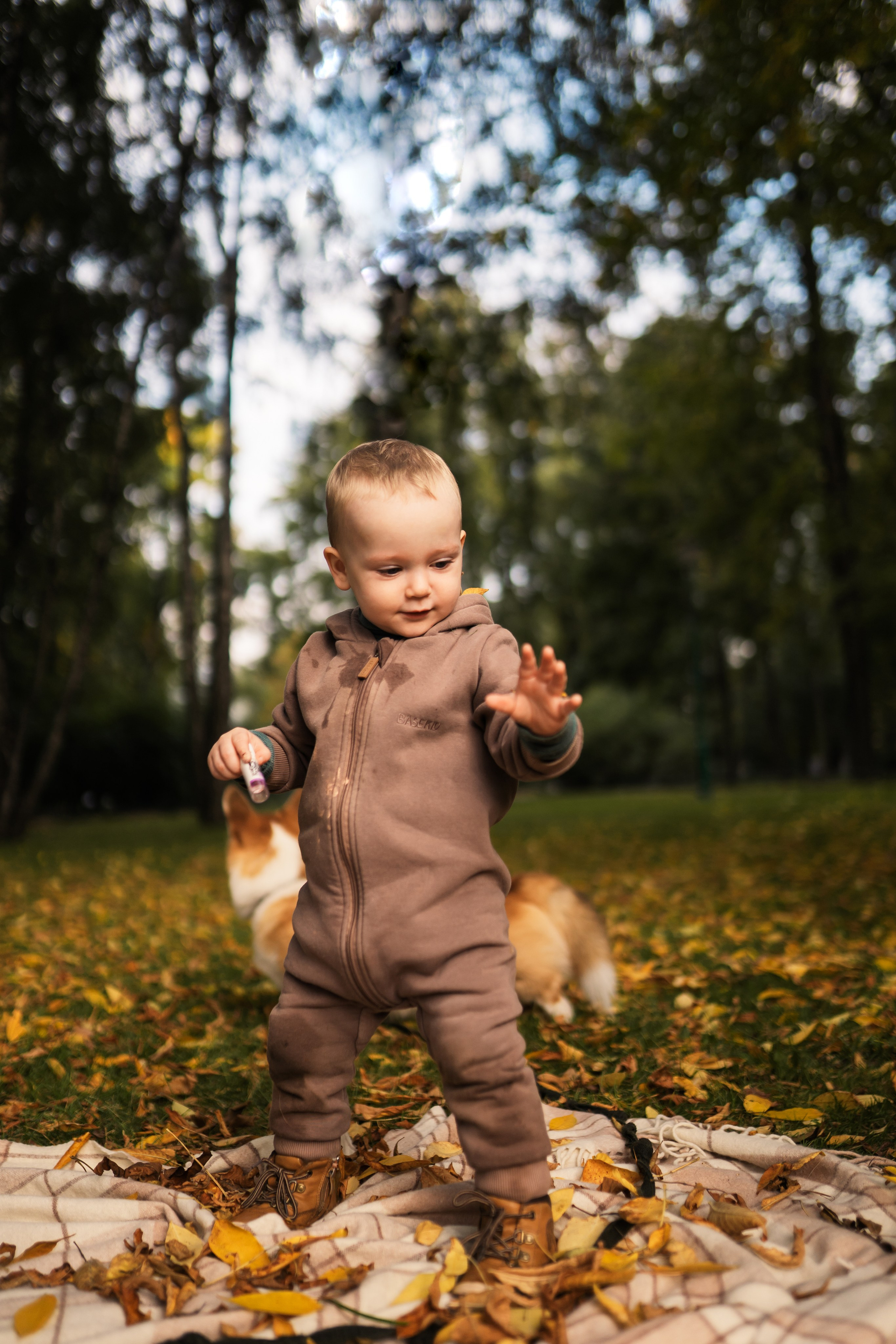 Сентябрь. Таврический парк. Семейный и детский фотограф в Санкт-Петербурге Дарина Герчиу