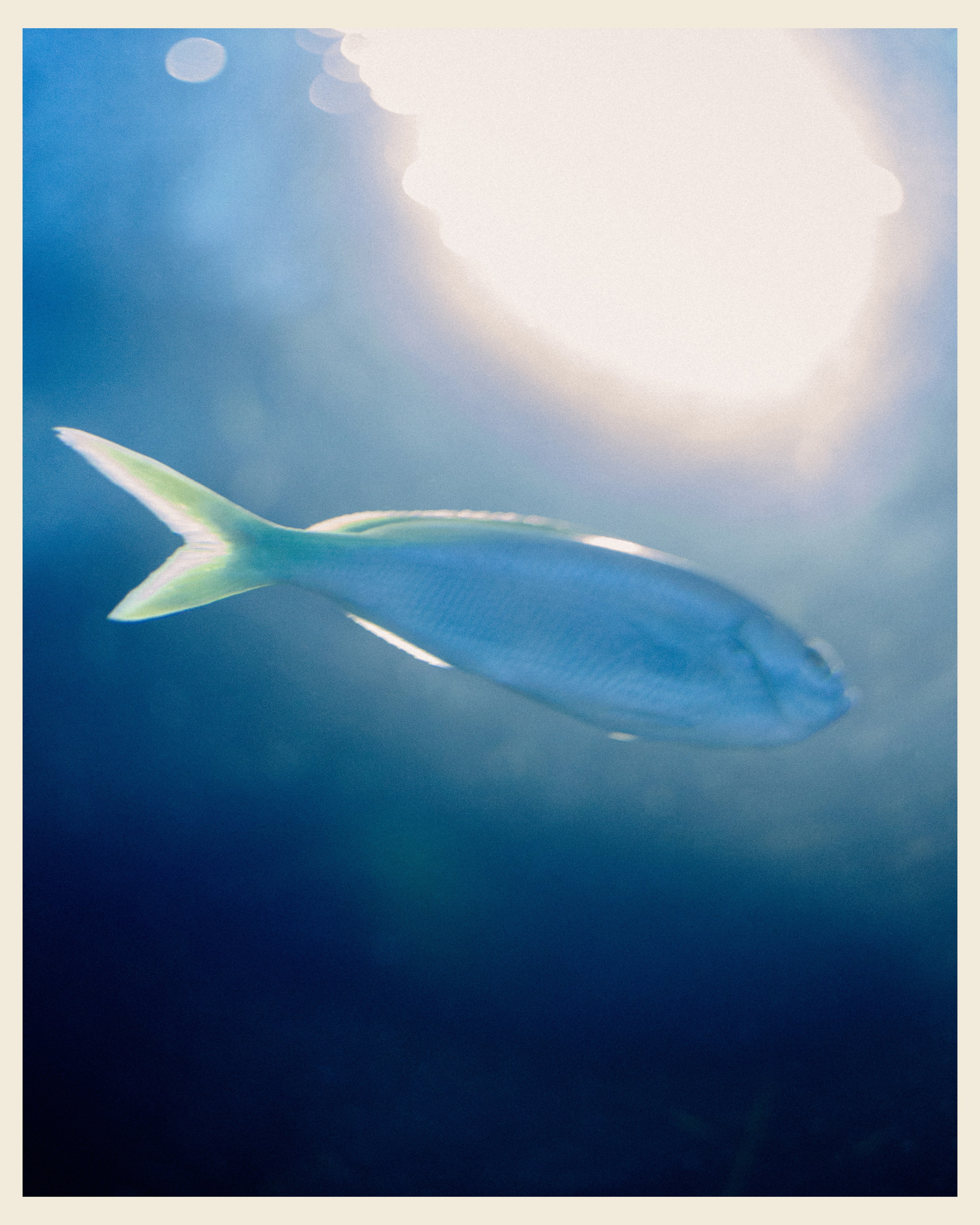 AILAND x VANO. Ivan Petrov photographer