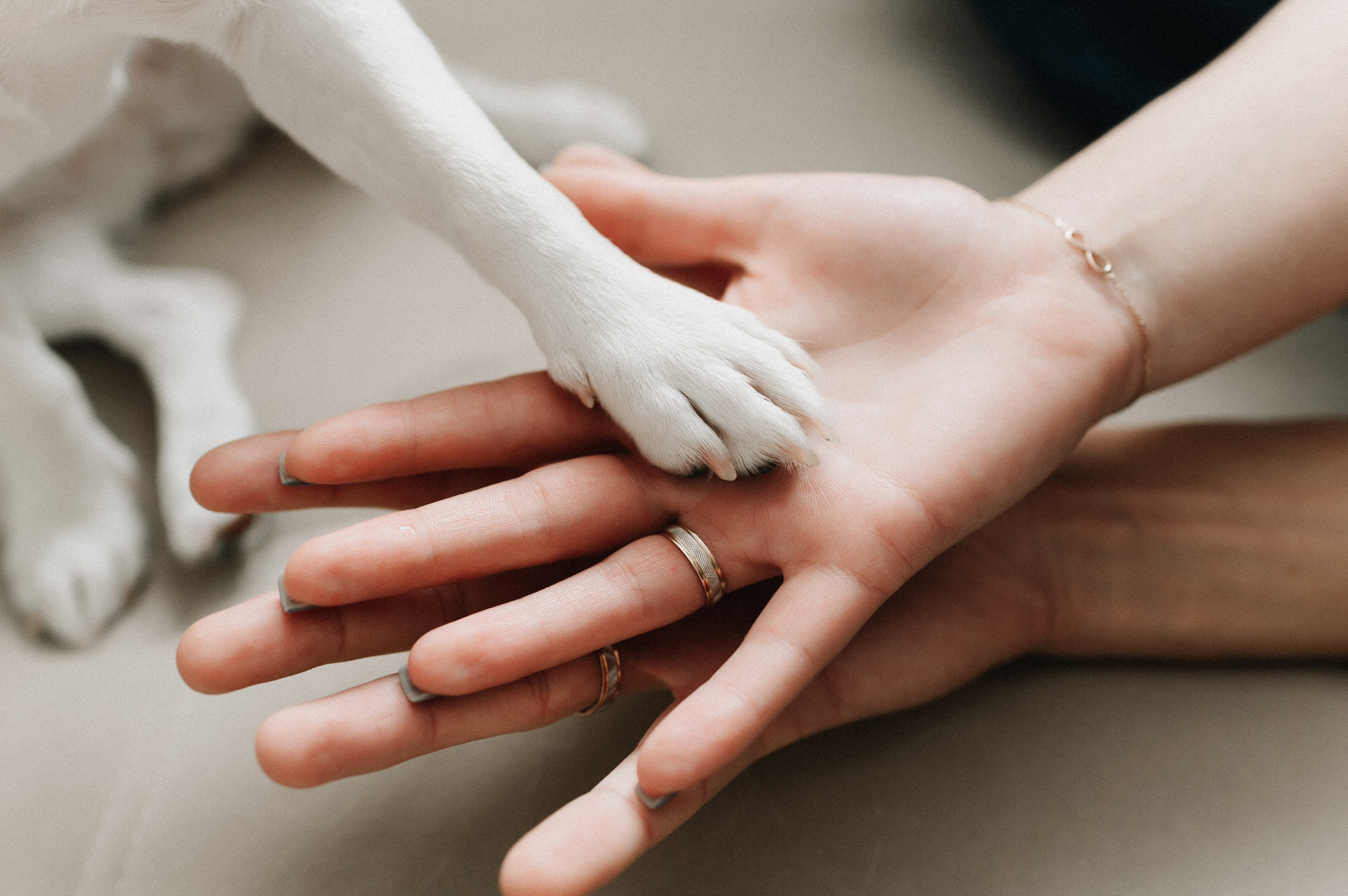 Яна и Лёша. Свадебный и семейный фотограф в Самаре Надежда Раскина