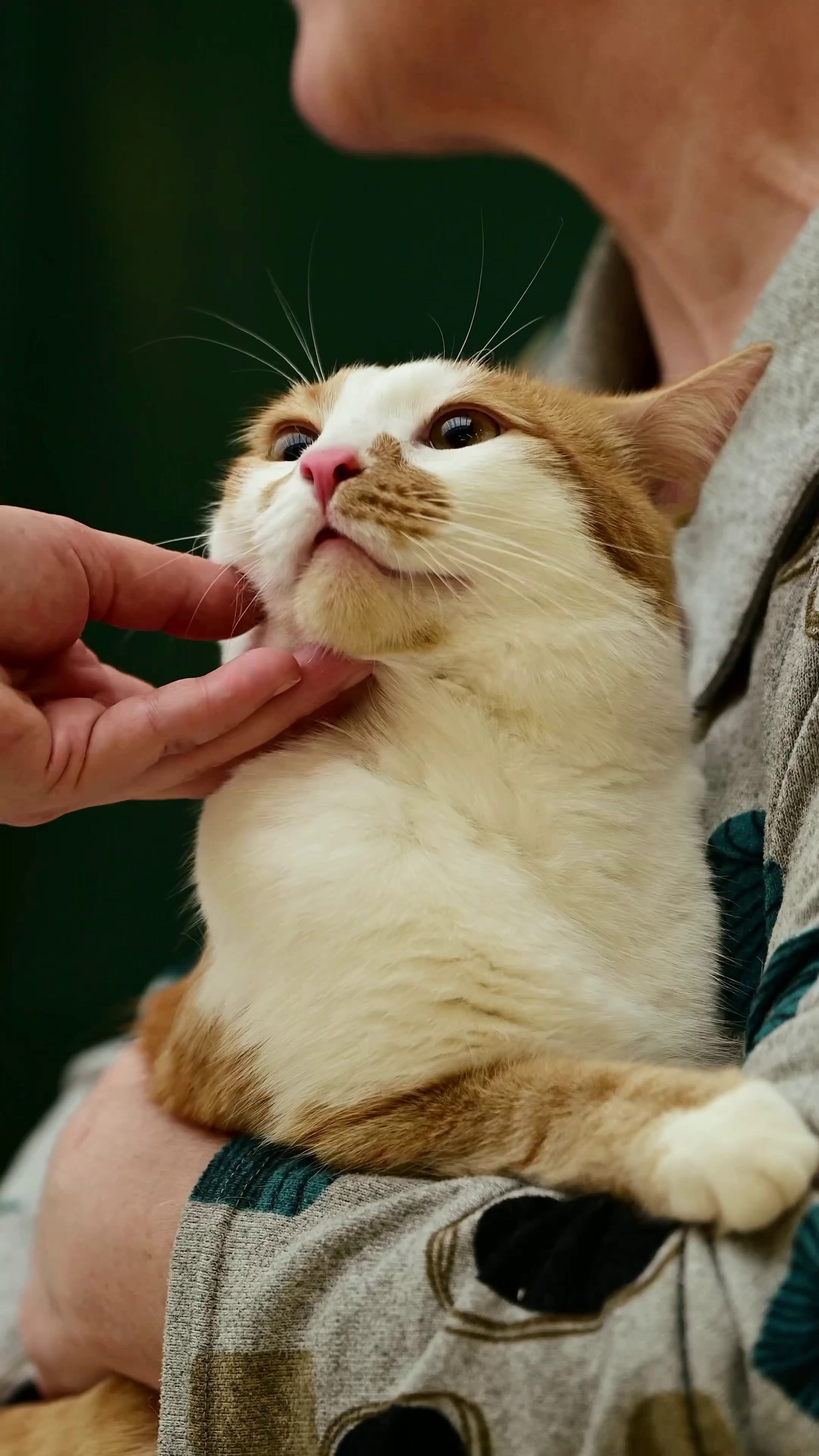 Съёмка для волонтёров (видео). Мила Астахова