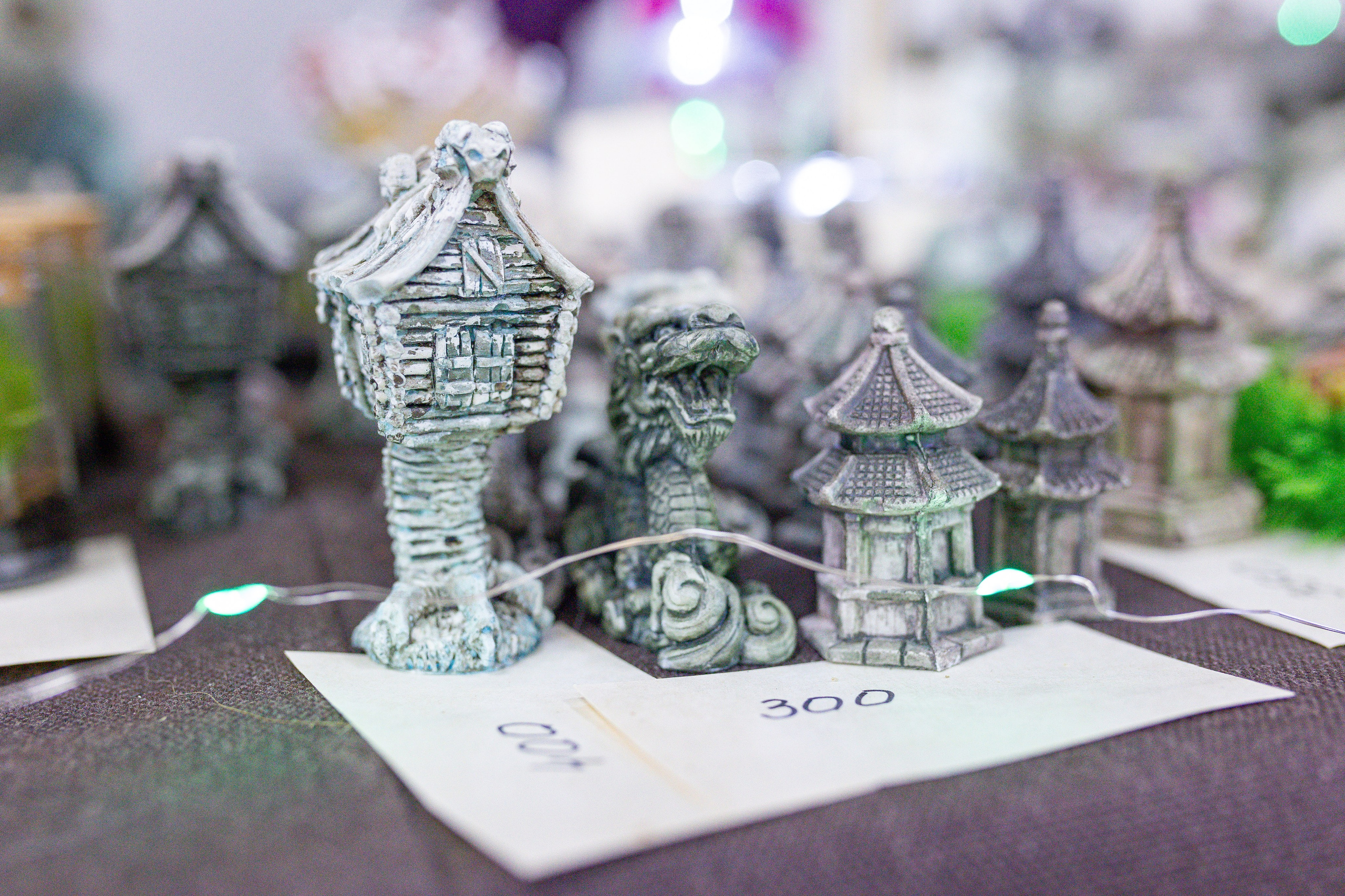 Орхидиум 12.2025. Александра Куликова фотограф, Москва