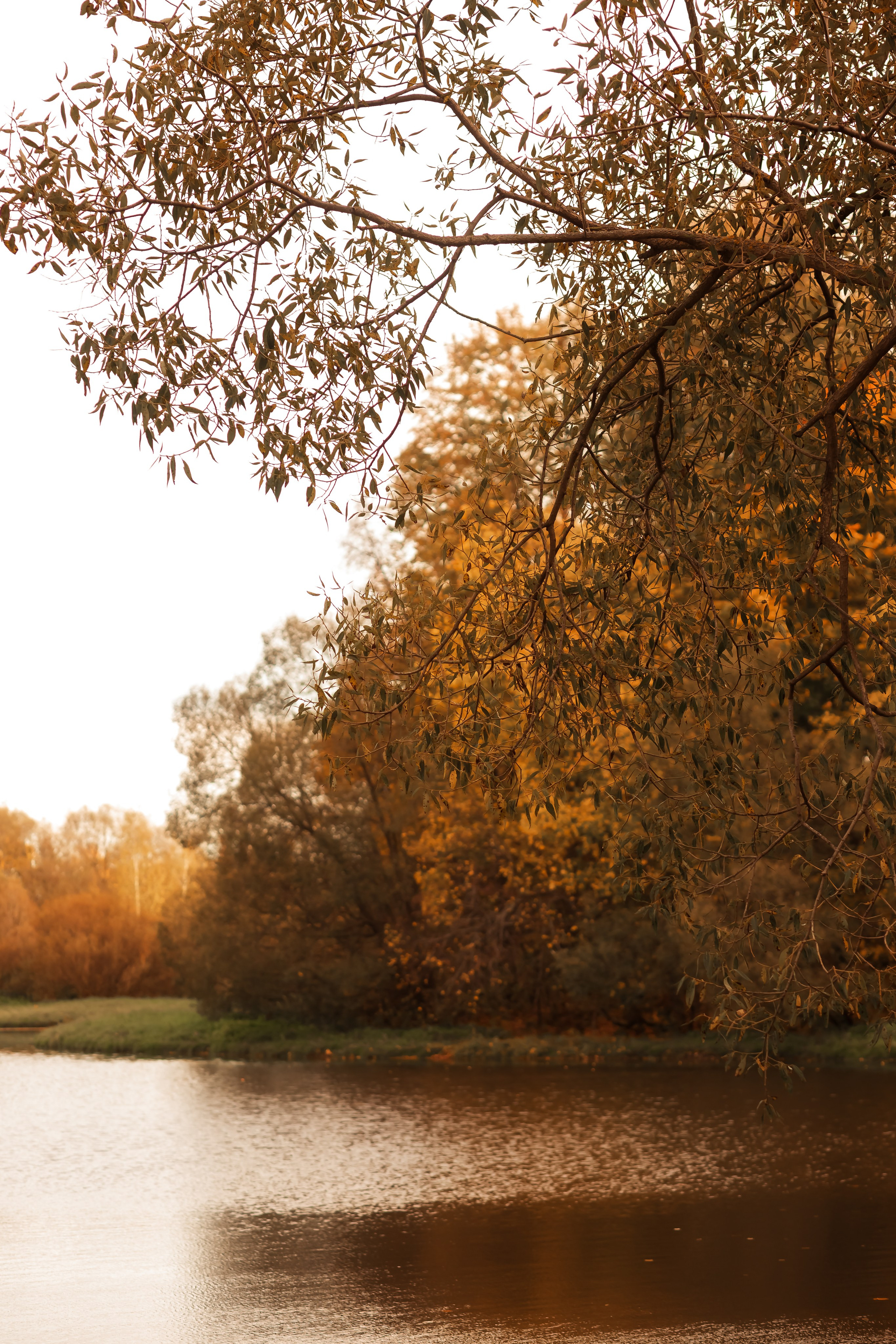 Тарханы. Съемка Таинств Крещения Венчания, детские и семейные съемки в Пензе