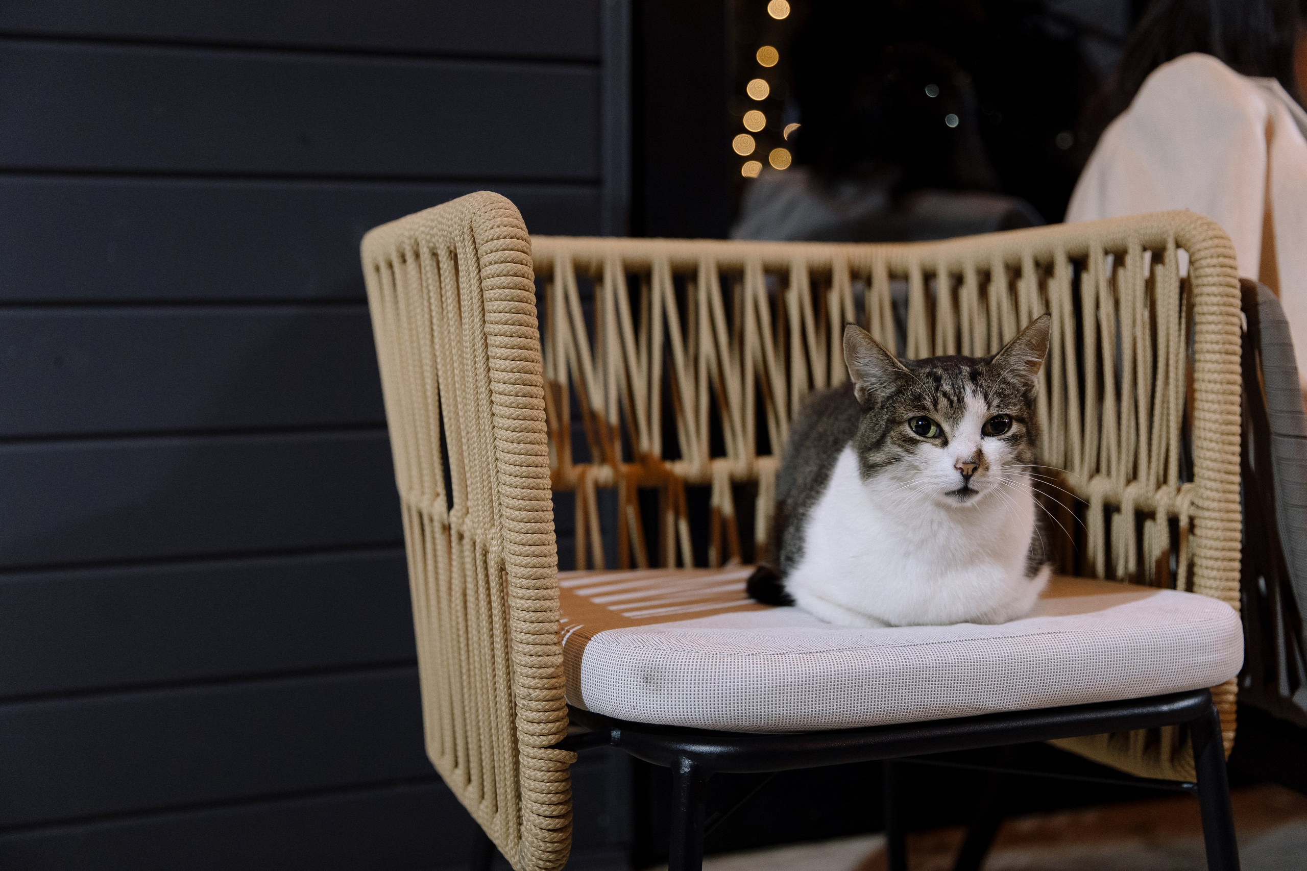 Anastasya/Anton. Свадебный фотограф Павел Князев