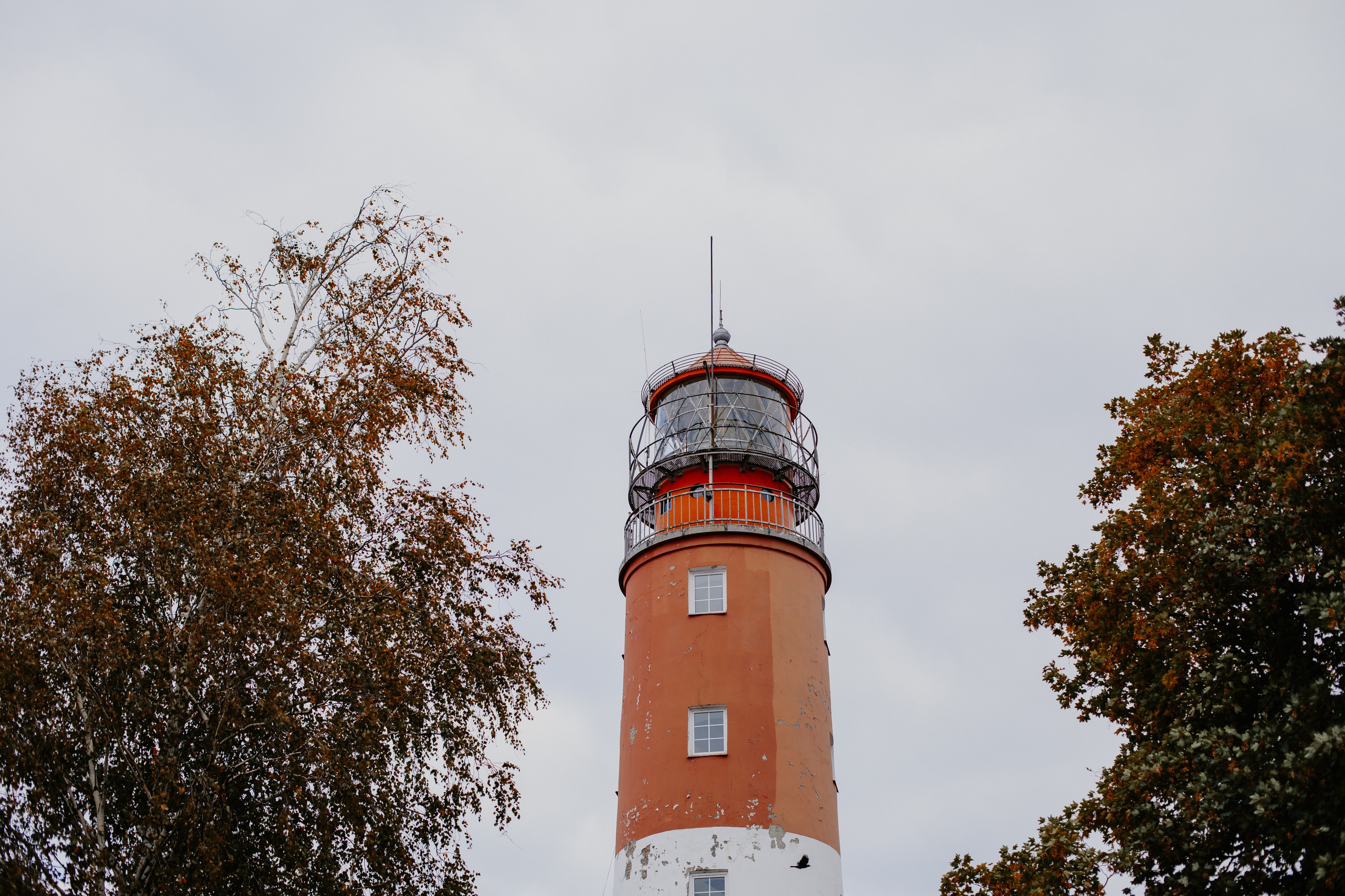 Балтийск/Калининград. Свадебный и семейный фотограф/видеограф в Краснодаре Наталья Осинская