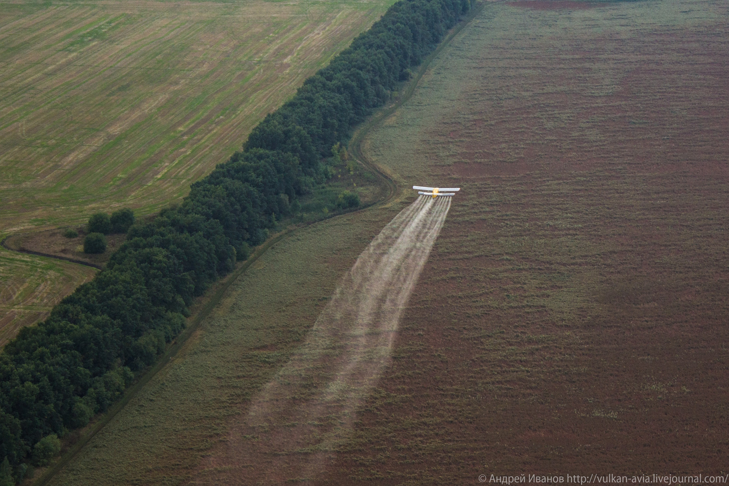 Волгодонск аэр. Потапов слёт «Небо для всех» (2021 г.). Фотоальбом показывающий увлекательный мир авиации и мир медведей Андрея Иванова