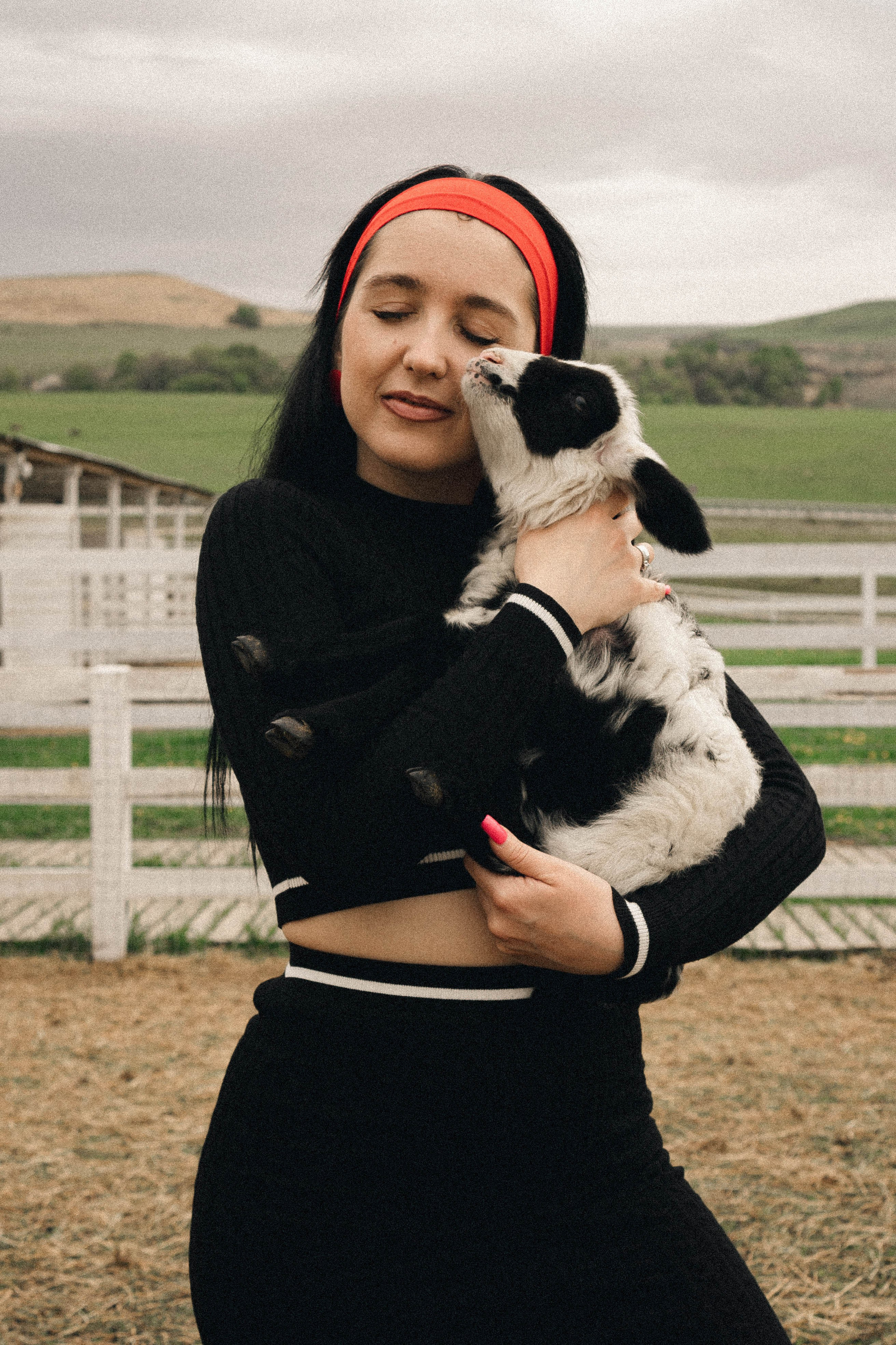 Ферма Альпак. Профессиональный фотограф, Санкт-Петербург — Виктория Богомолова