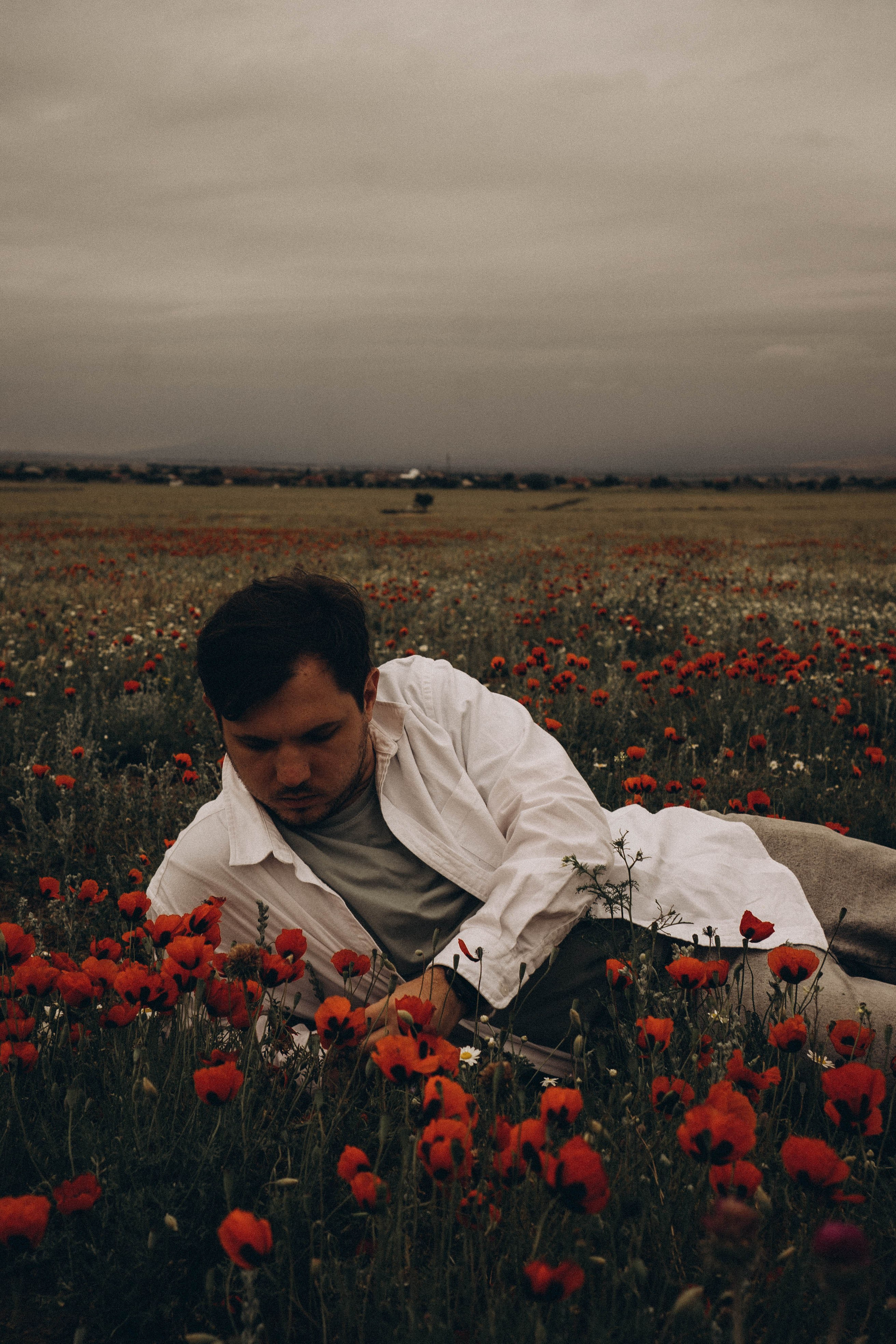 Маки. Профессиональный фотограф, Санкт-Петербург — Виктория Богомолова