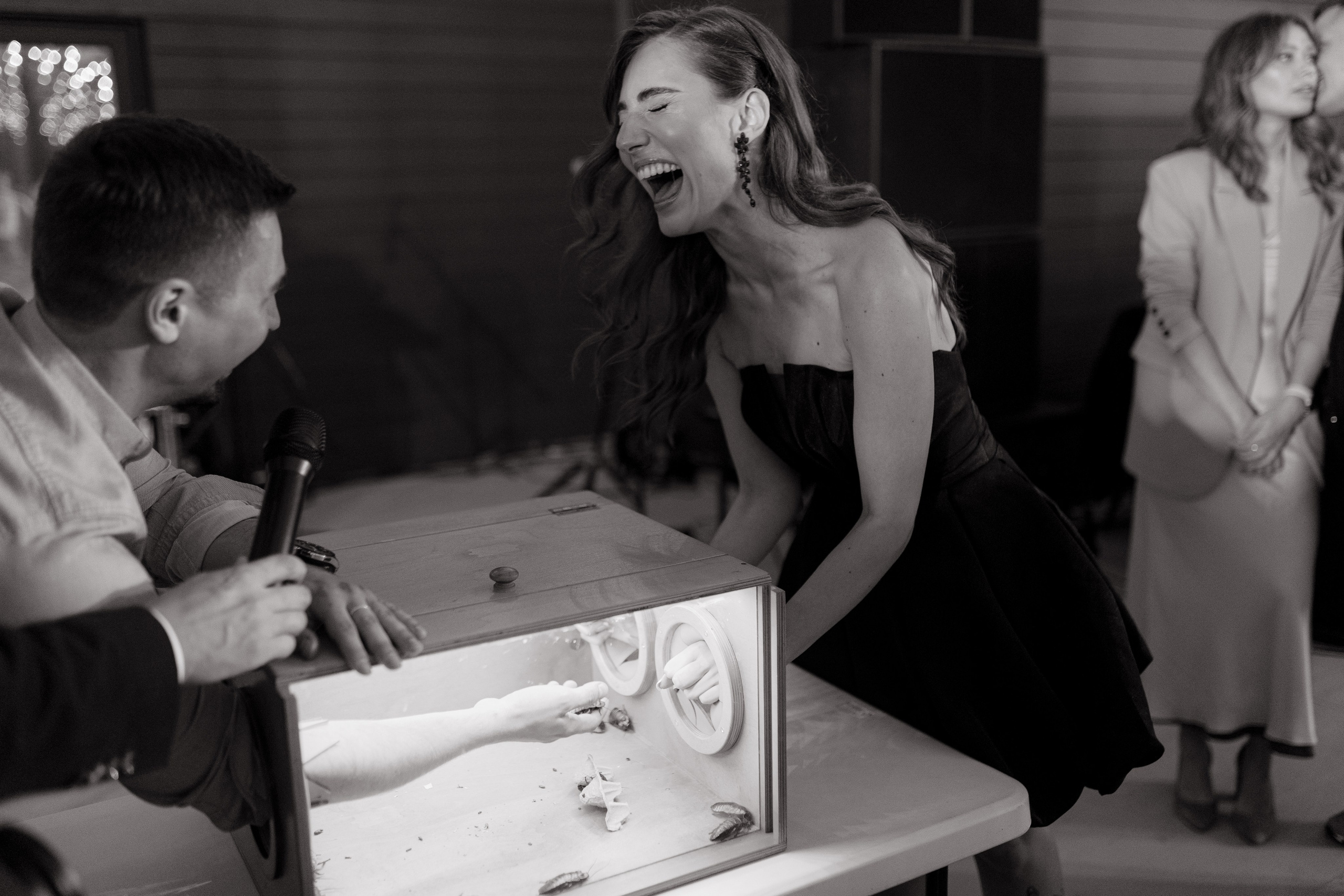 Anastasya/Anton. Свадебный фотограф Павел Князев