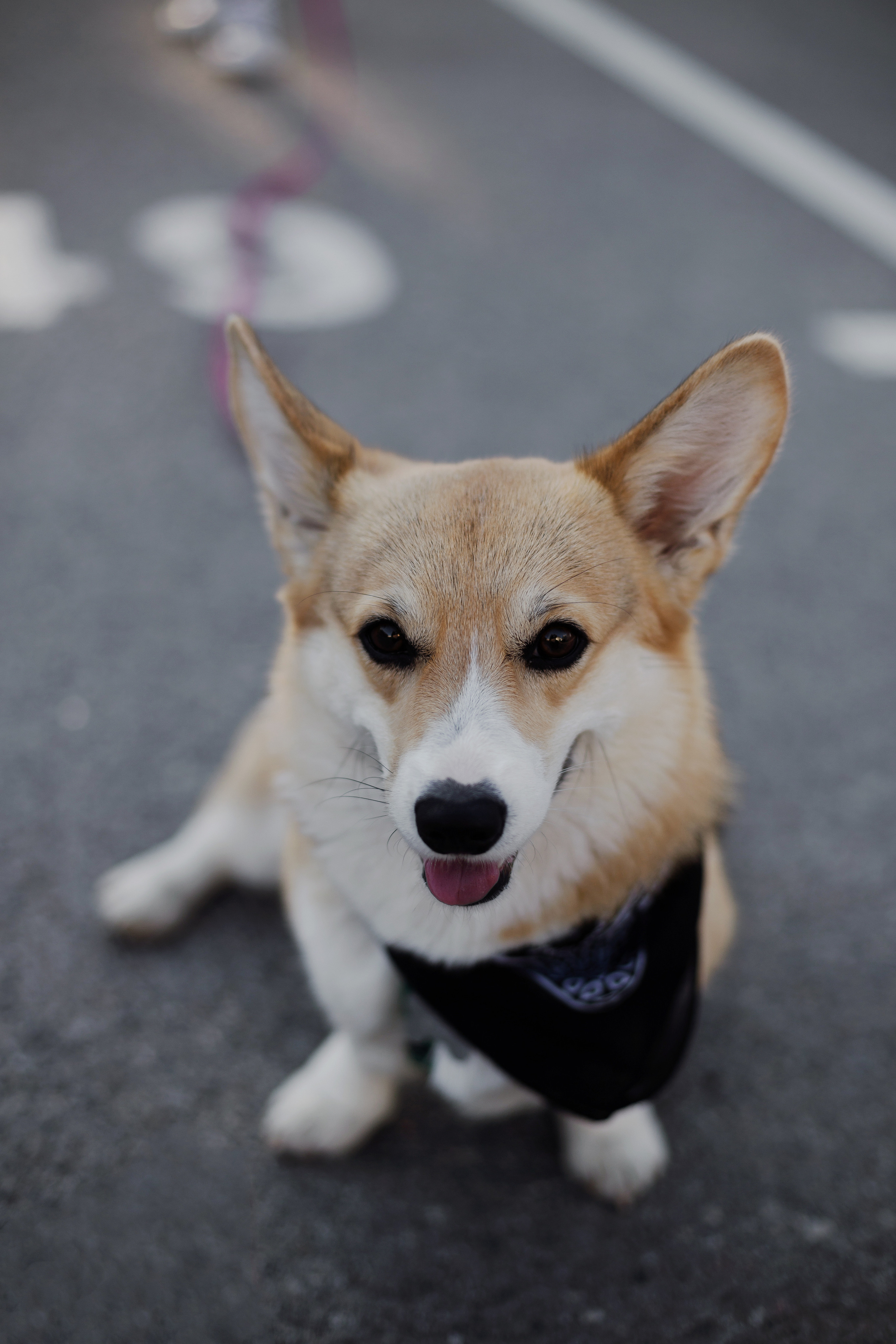 Зоя и Арья. Портретный фотограф в Санкт-Петербурге Элина Ситникова
