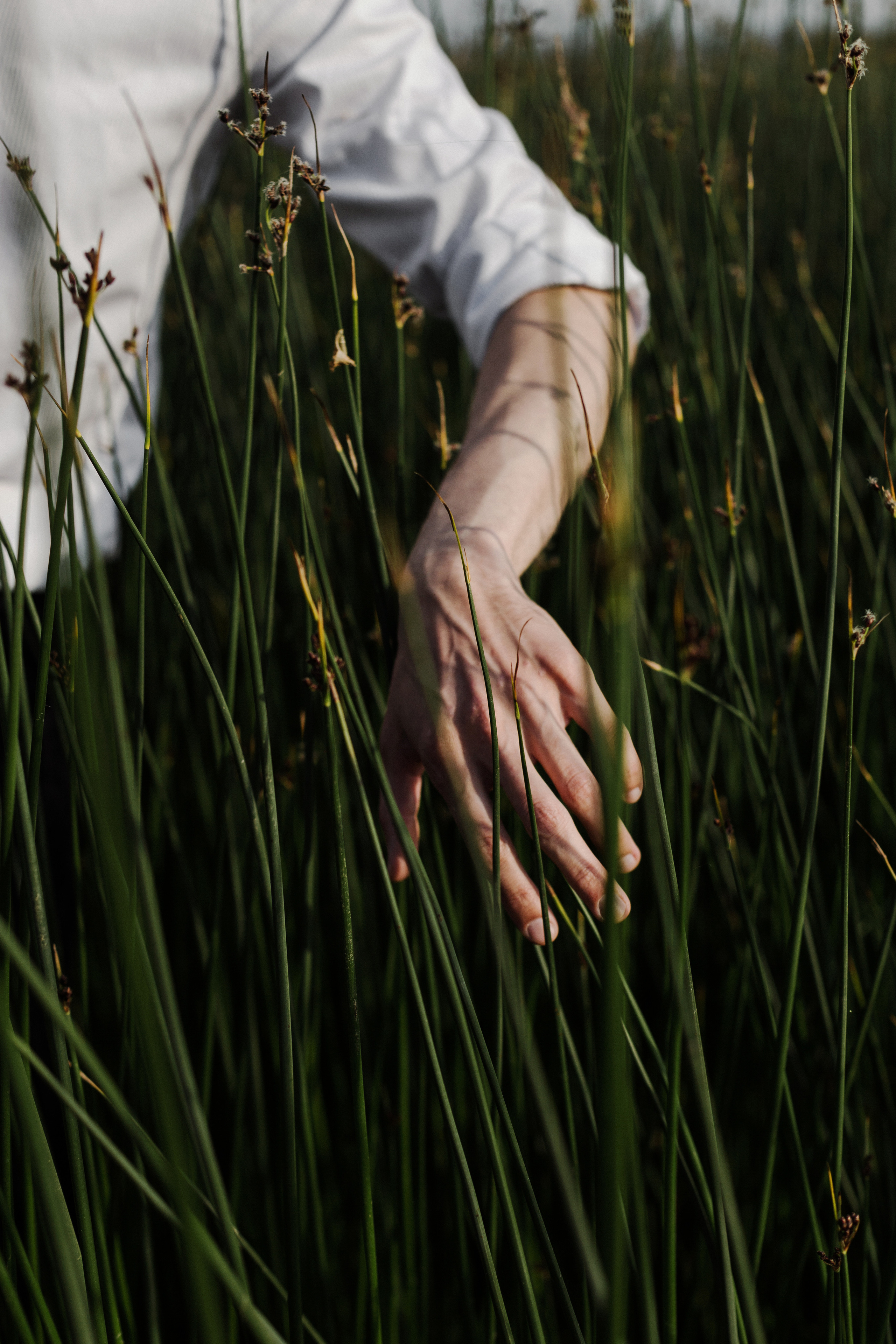 Inst: Md: @alexandrovich_ssh Org: @divine_photoproject