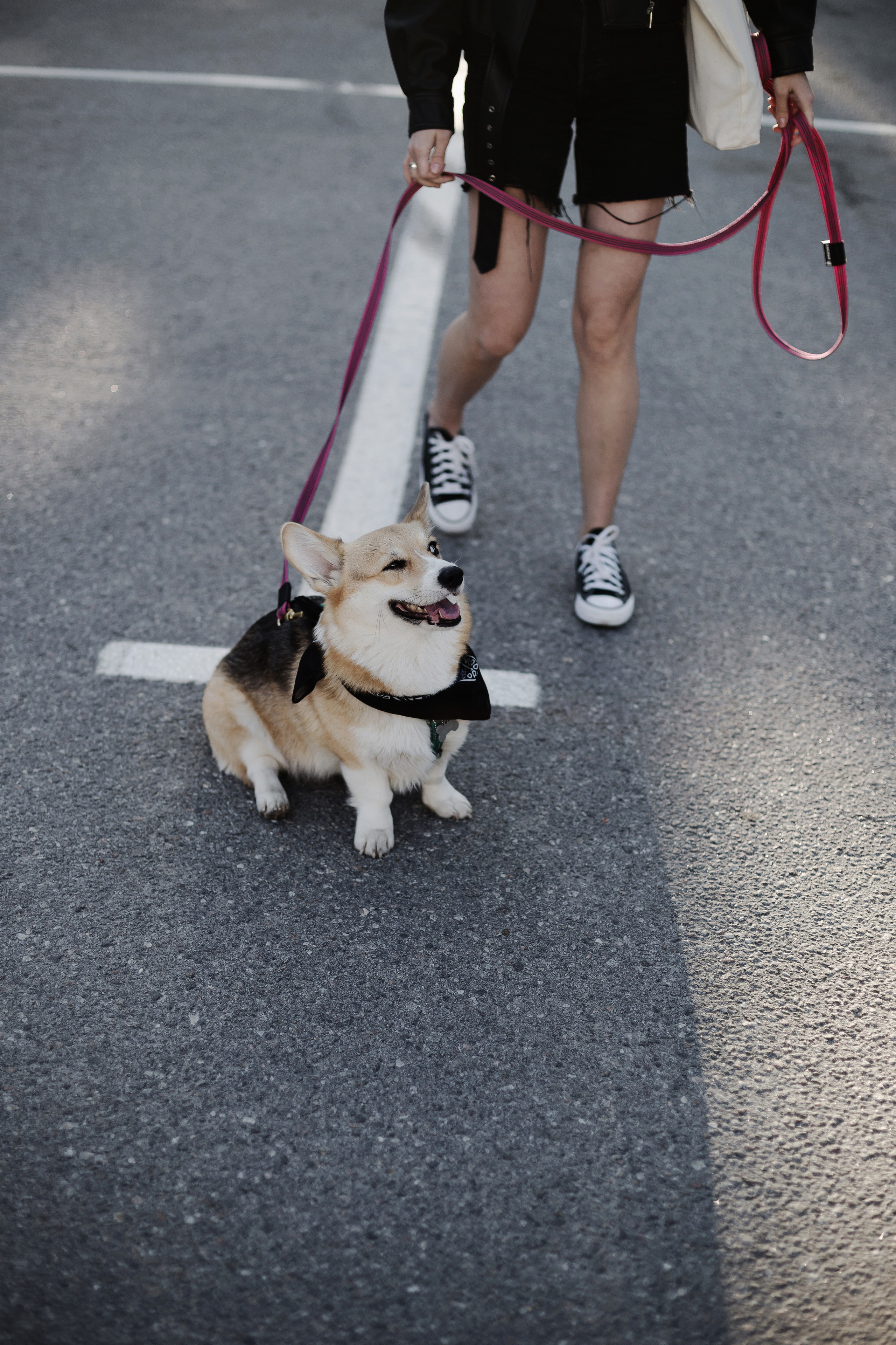 Зоя и Арья. Портретный фотограф в Санкт-Петербурге Элина Ситникова