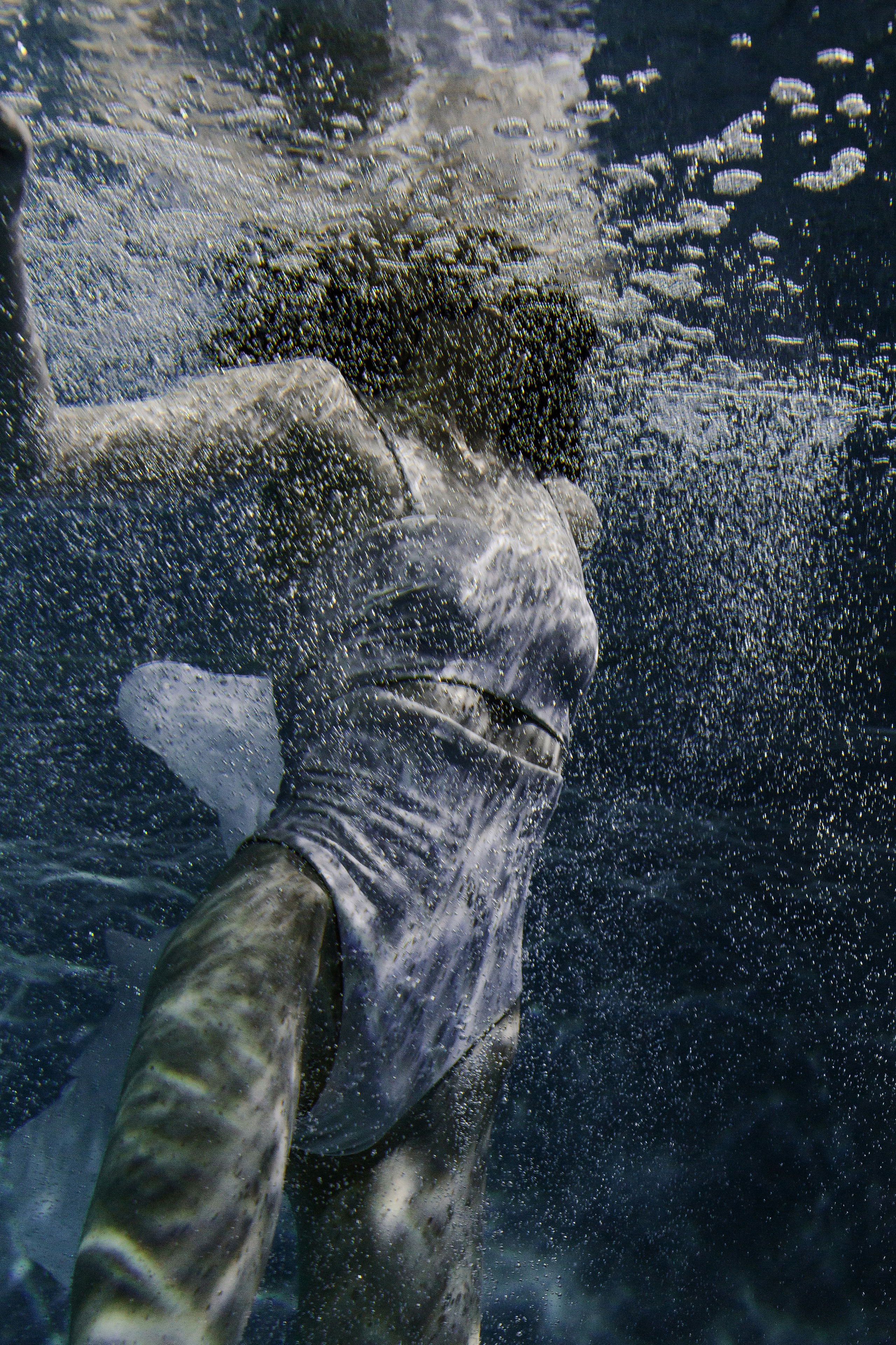 Биана И Артем. Портретный фотограф в Санкт-Петербурге Элина Ситникова