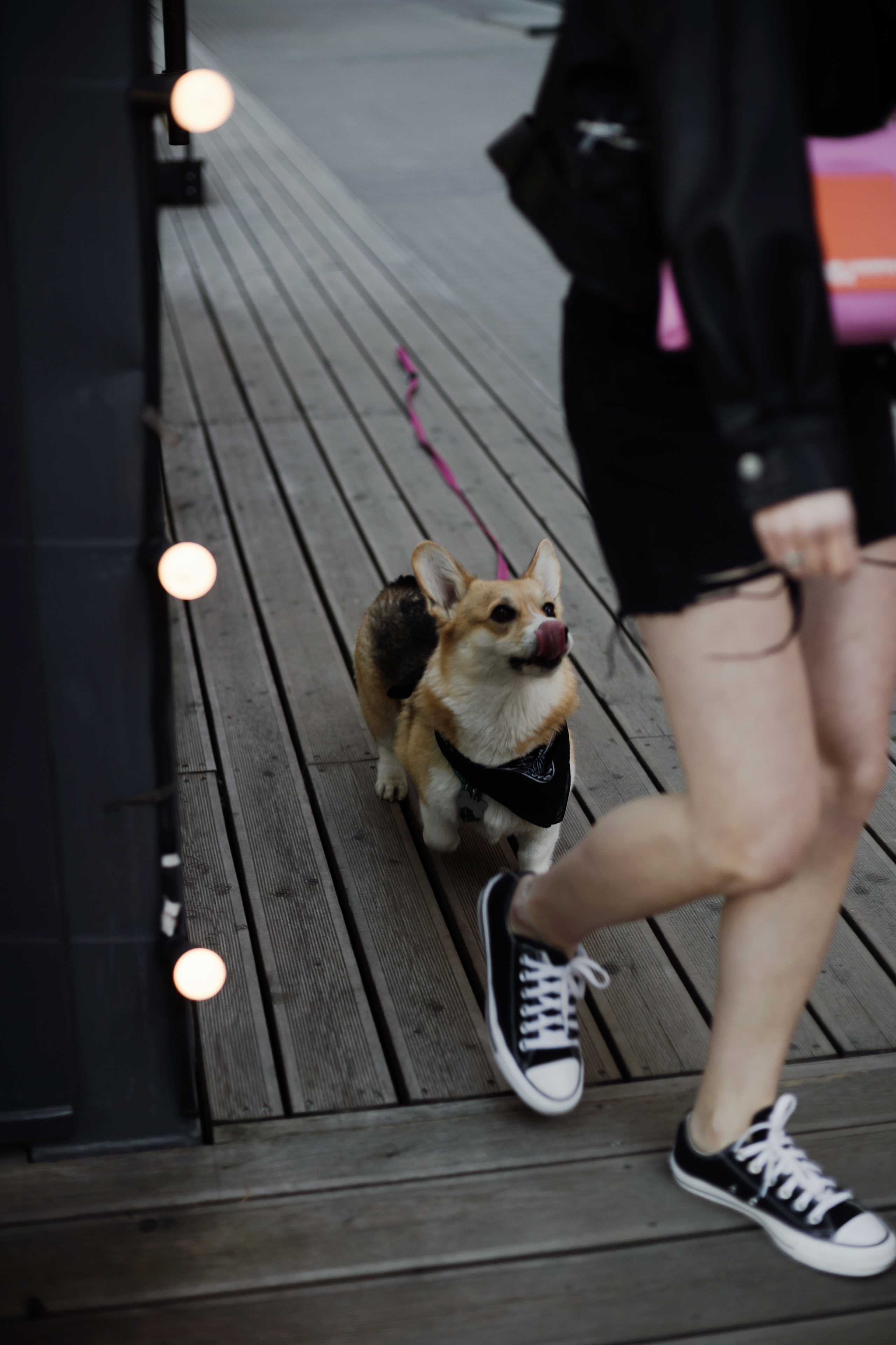 Зоя и Арья. Портретный фотограф в Санкт-Петербурге Элина Ситникова