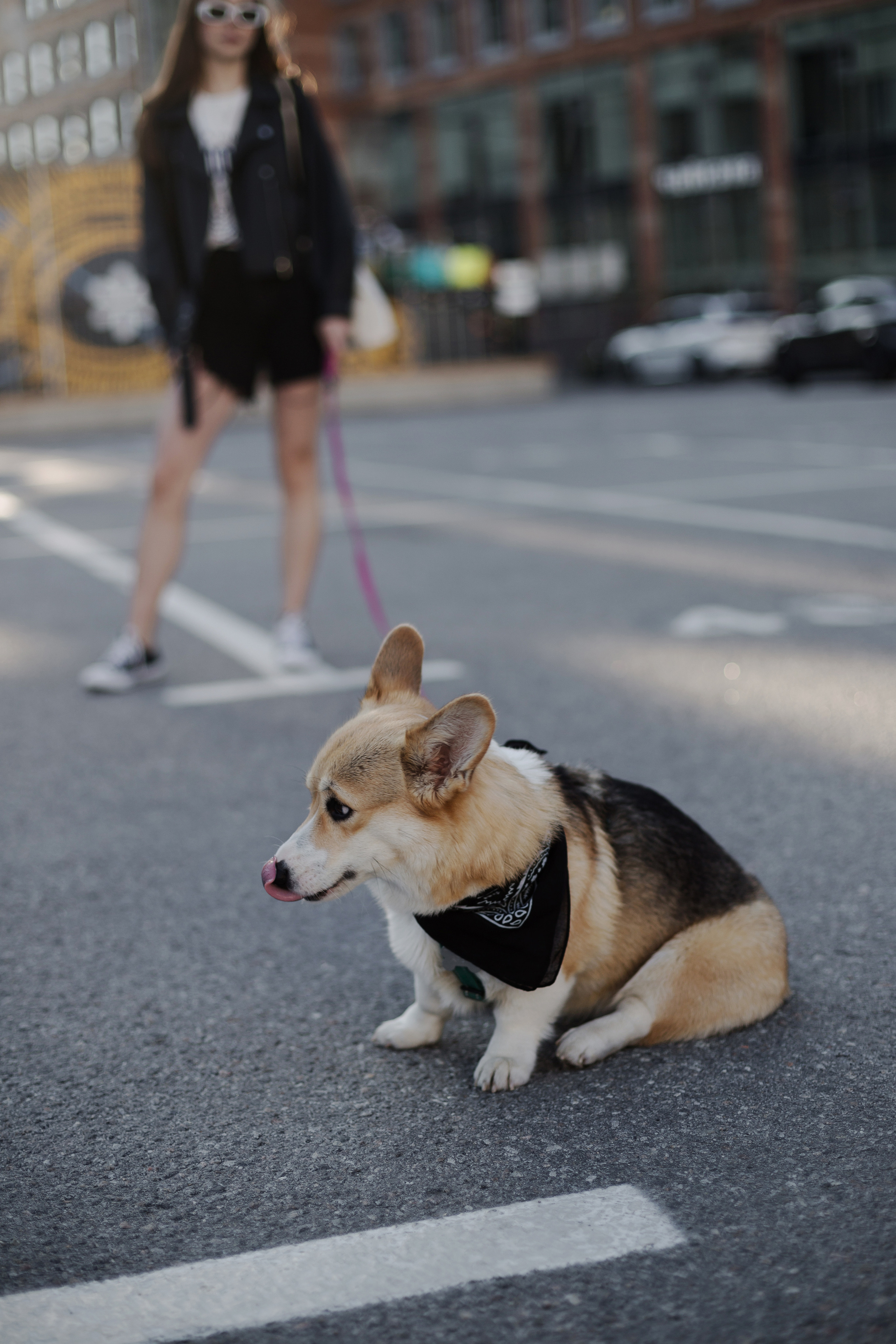 Зоя и Арья. Портретный фотограф в Санкт-Петербурге Элина Ситникова