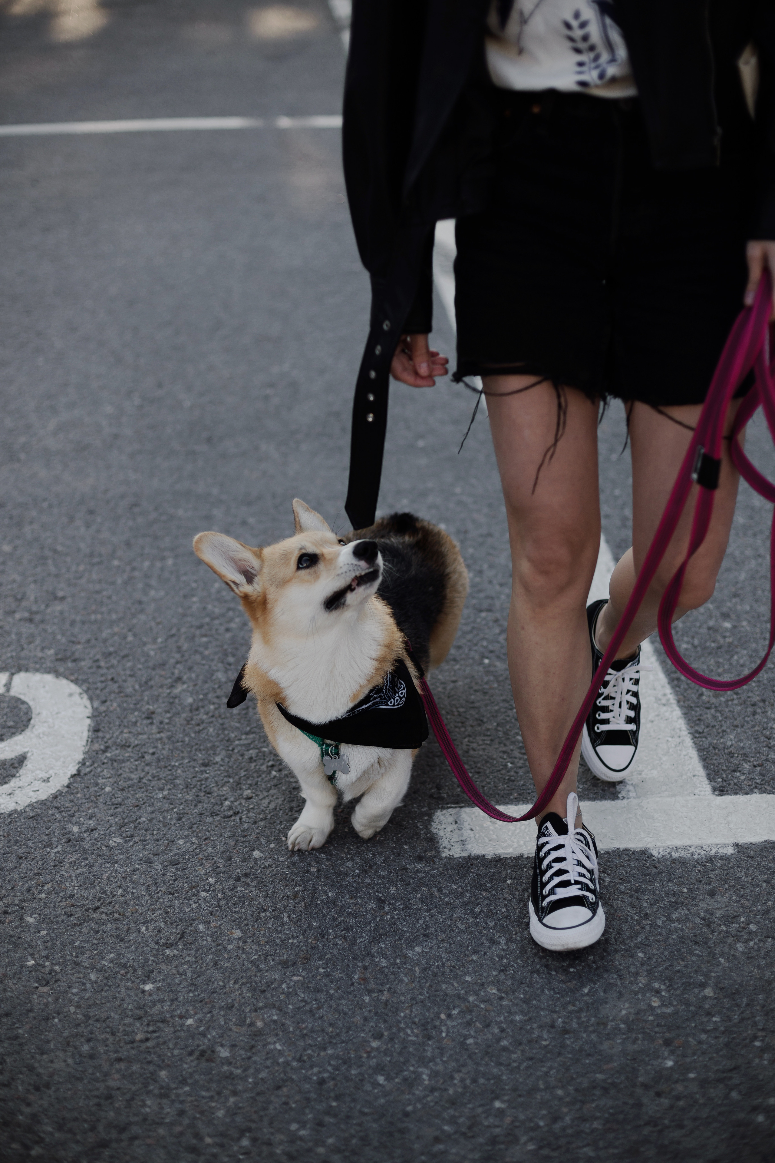 Зоя и Арья. Портретный фотограф в Санкт-Петербурге Элина Ситникова