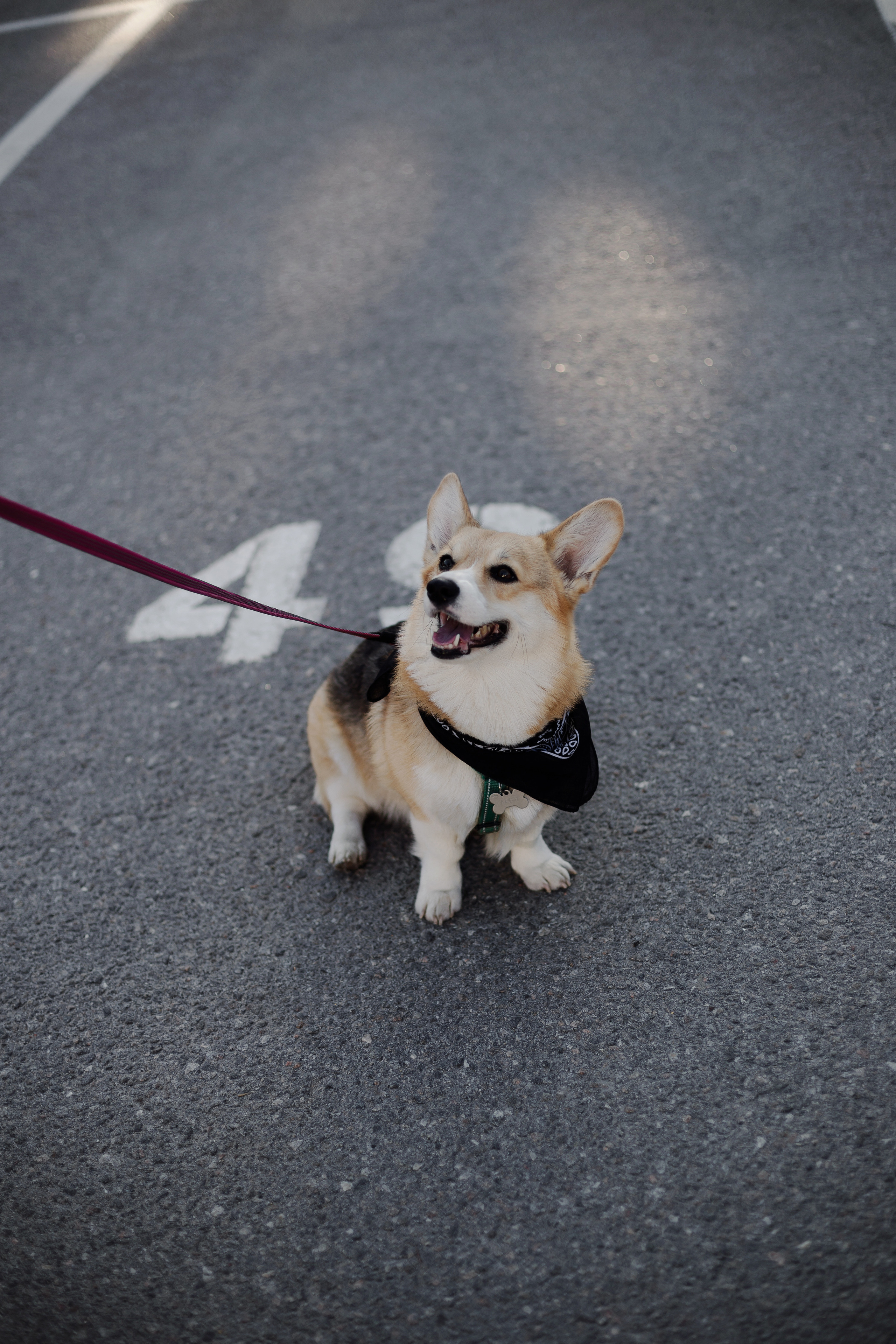 Зоя и Арья. Портретный фотограф в Санкт-Петербурге Элина Ситникова