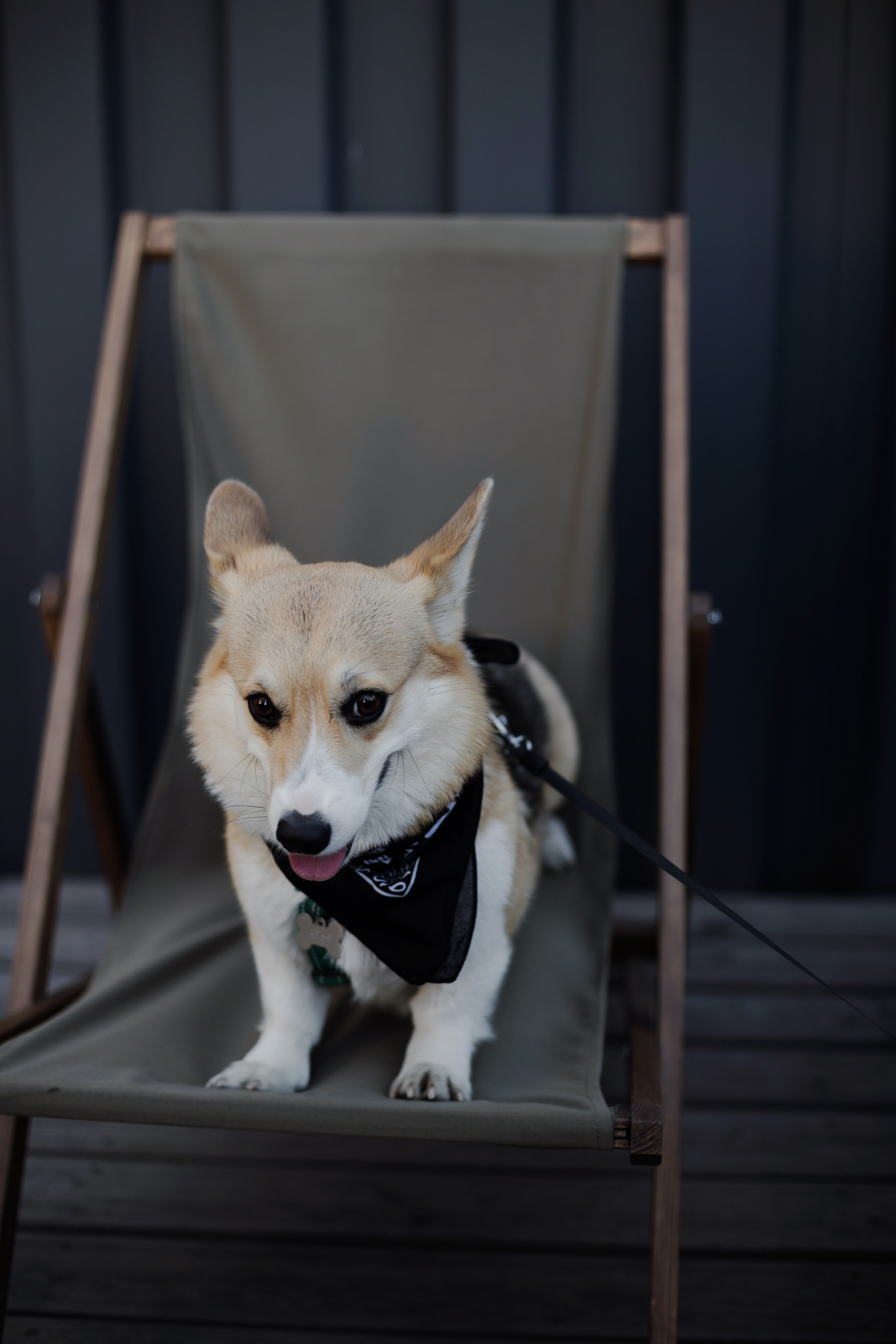 Зоя и Арья. Портретный фотограф в Санкт-Петербурге Элина Ситникова