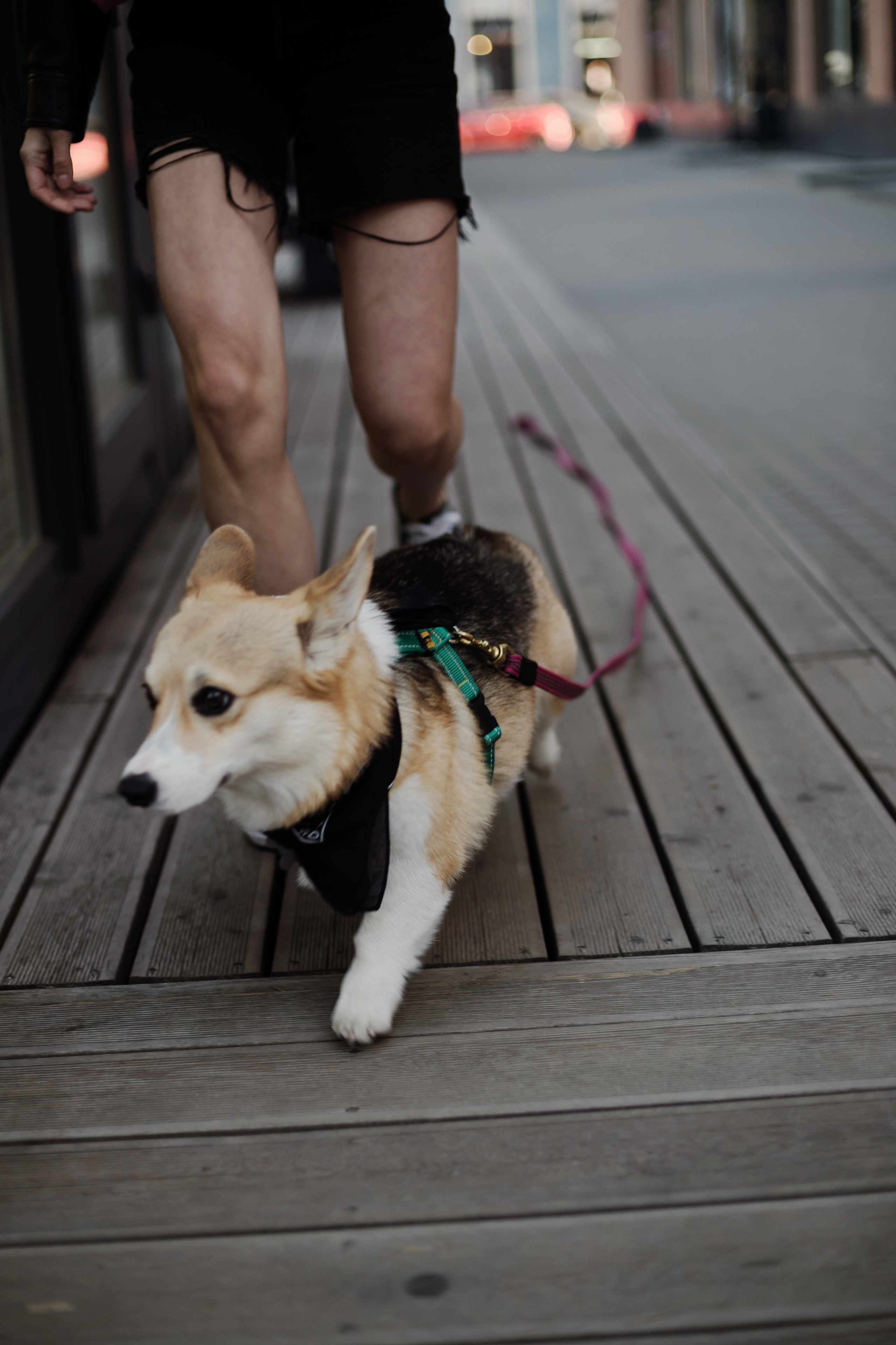 Зоя и Арья. Портретный фотограф в Санкт-Петербурге Элина Ситникова