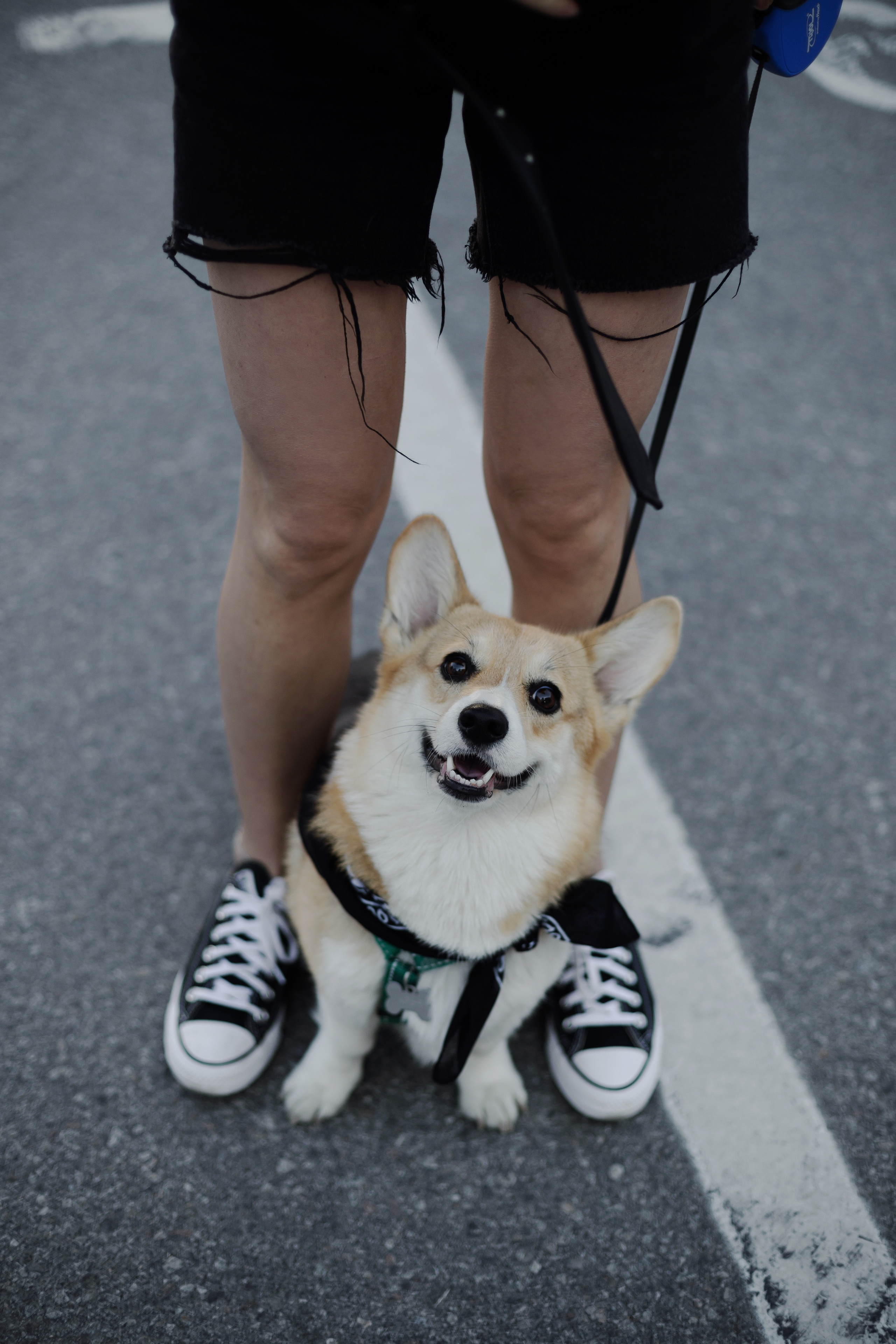 Зоя и Арья. Портретный фотограф в Санкт-Петербурге Элина Ситникова
