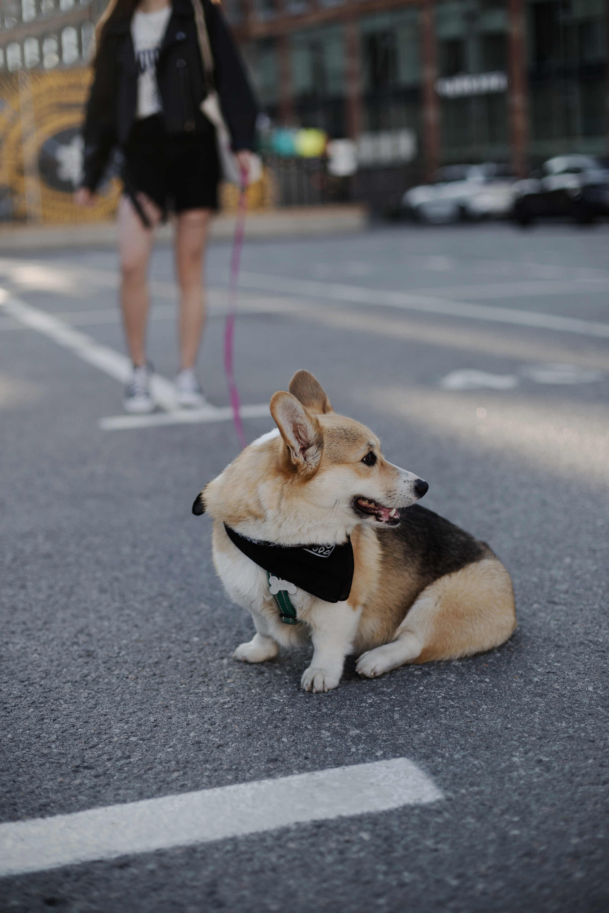 Зоя и Арья. Портретный фотограф в Санкт-Петербурге Элина Ситникова