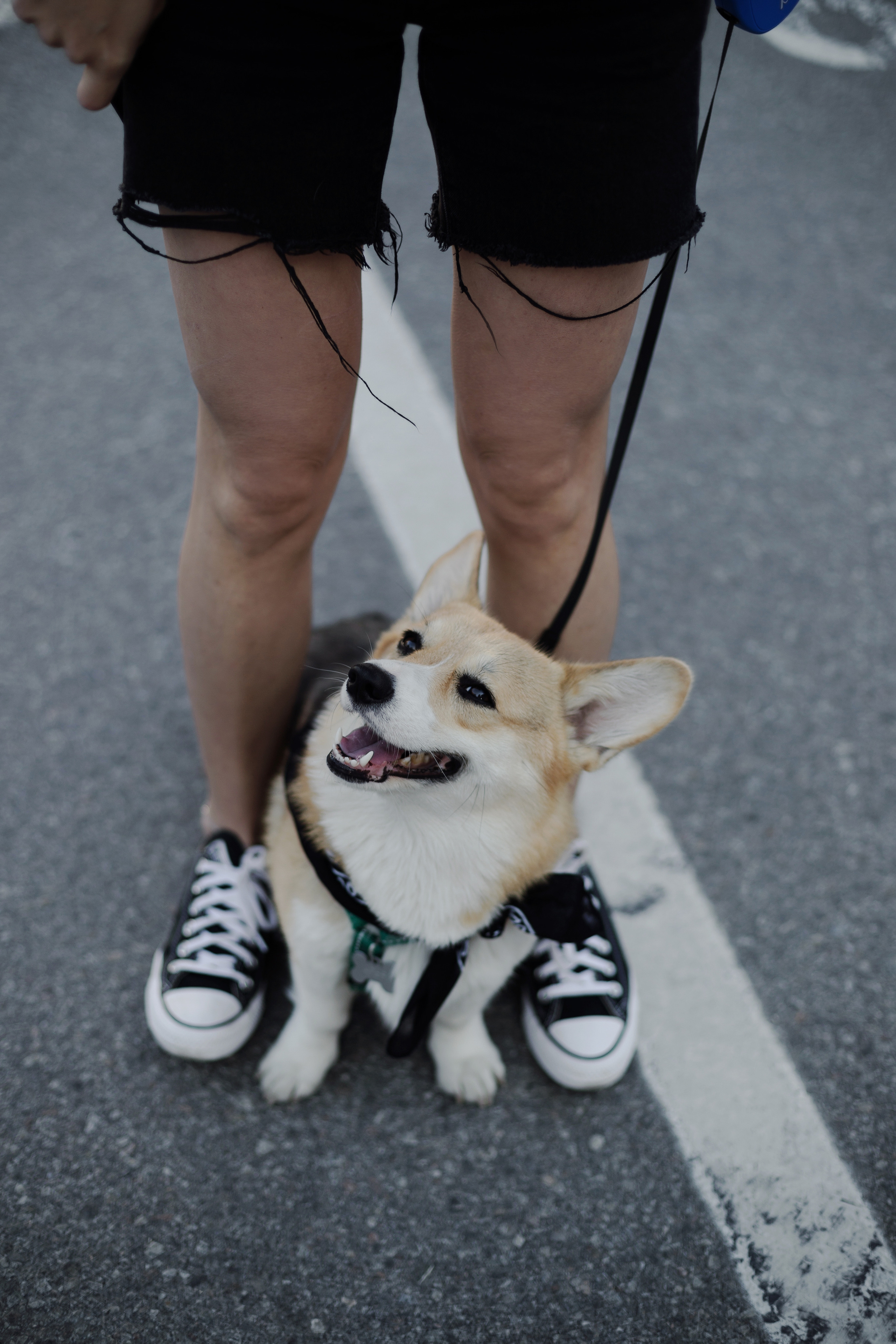 Зоя и Арья. Портретный фотограф в Санкт-Петербурге Элина Ситникова