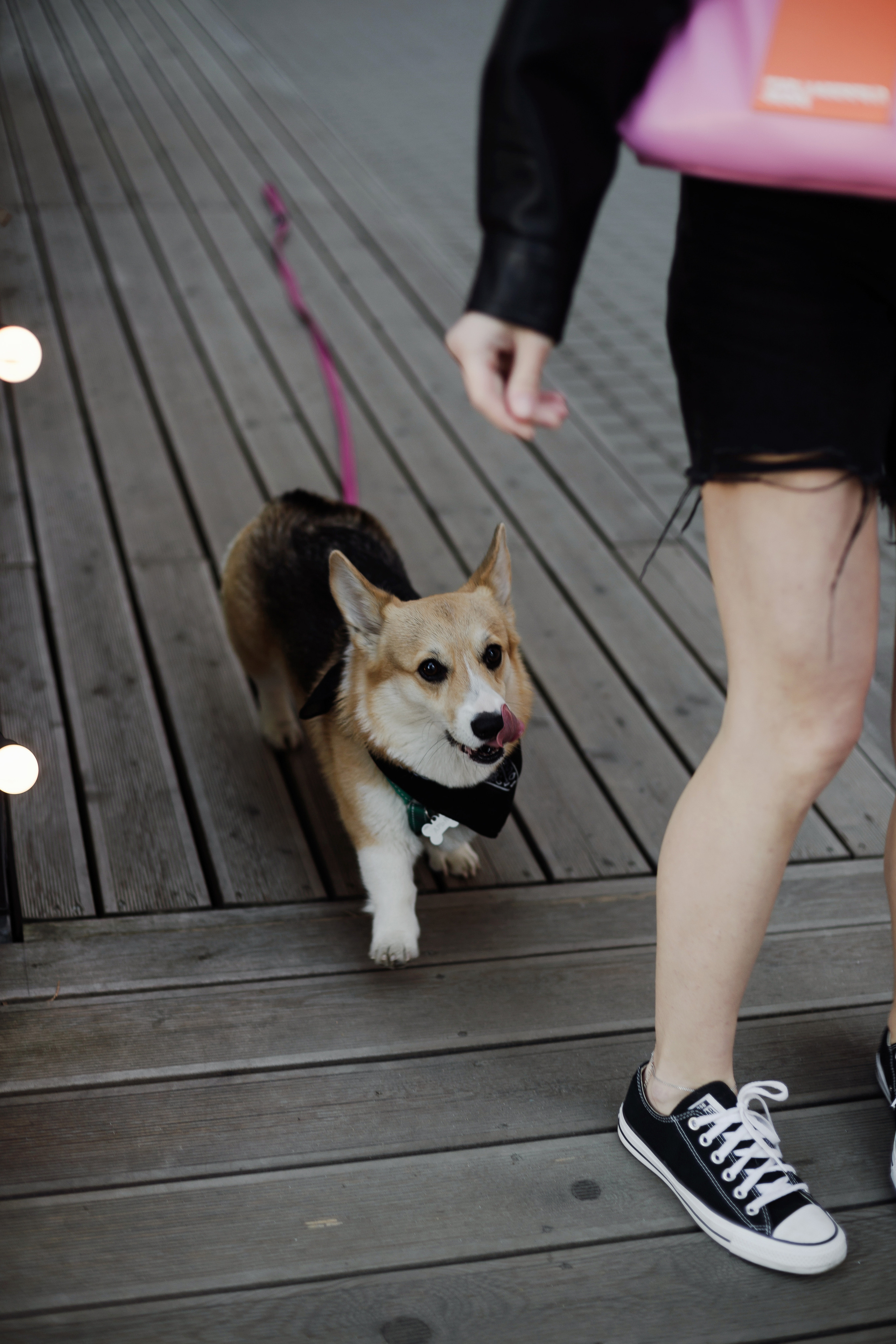 Зоя и Арья. Портретный фотограф в Санкт-Петербурге Элина Ситникова