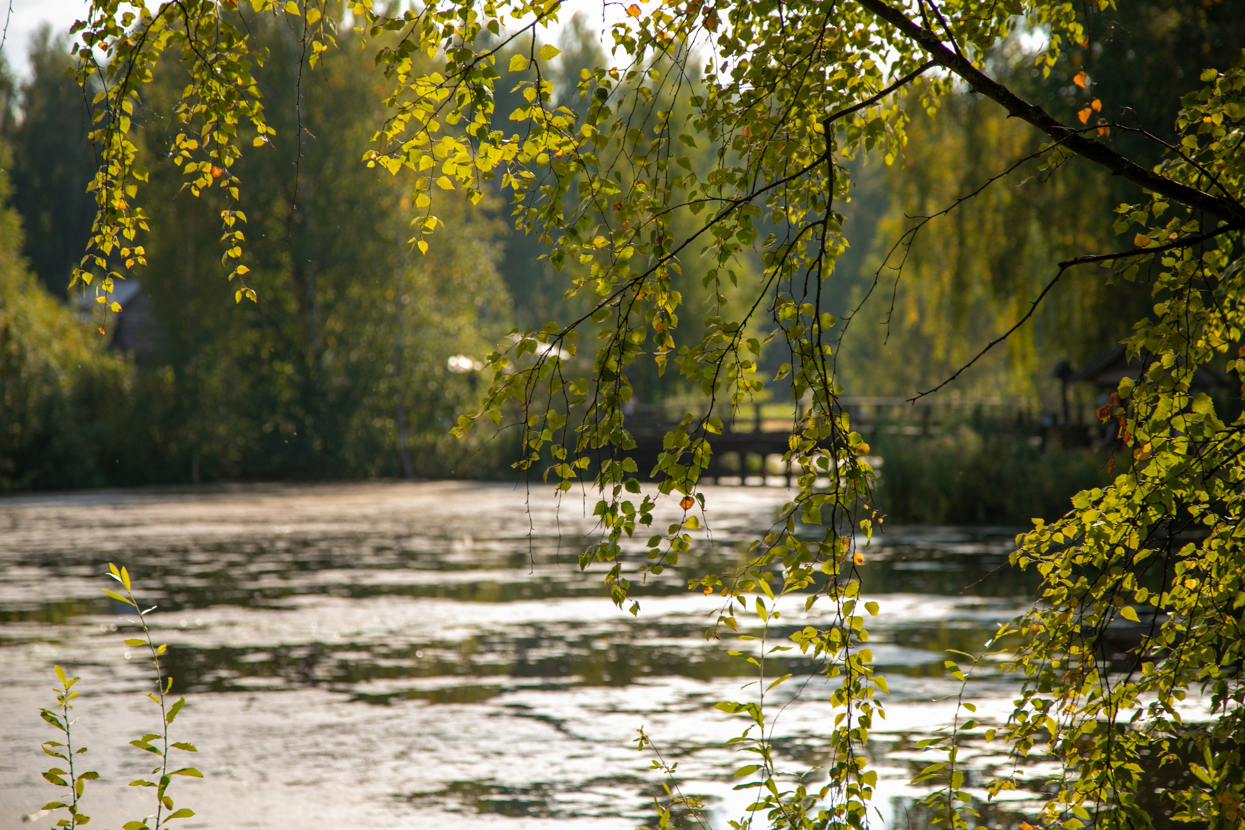 Кострома 06.09.2025. Репортажный фотограф в Москве Агафонова Мария