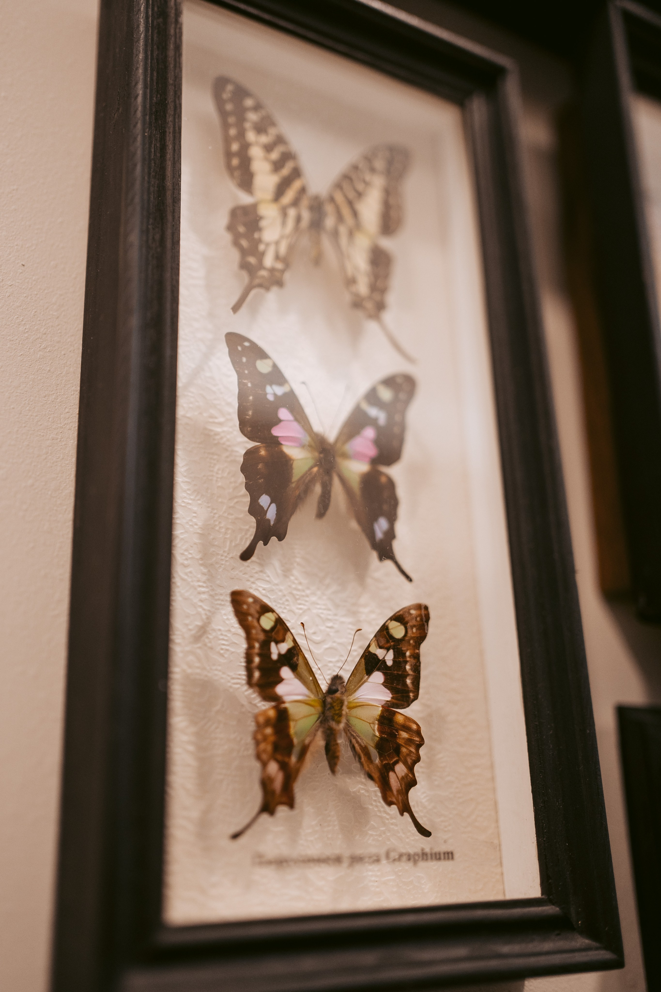 Ночь искусств 2023. Фотограф на любое событие в Кемерово