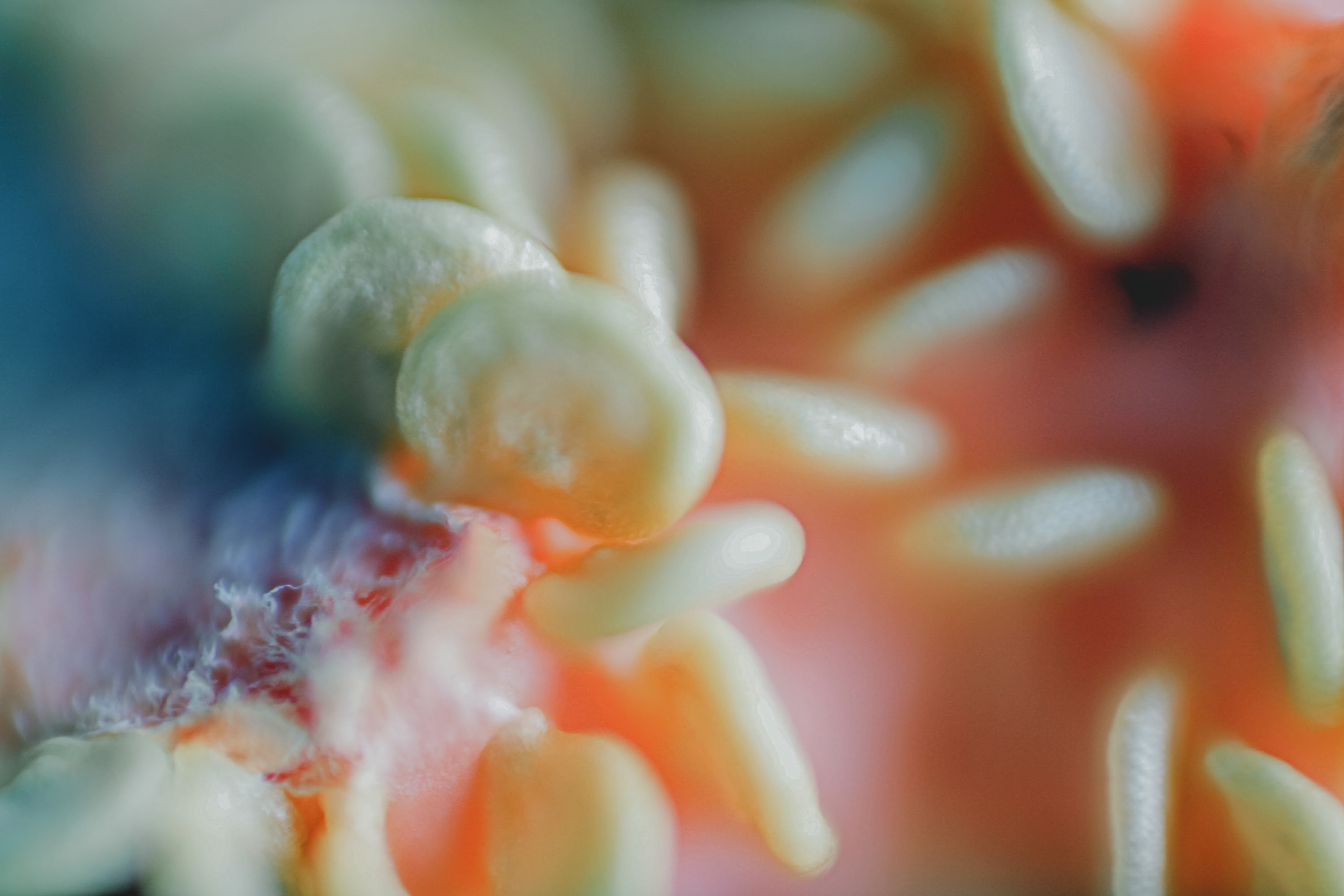 Часть III. 2020 — 2021