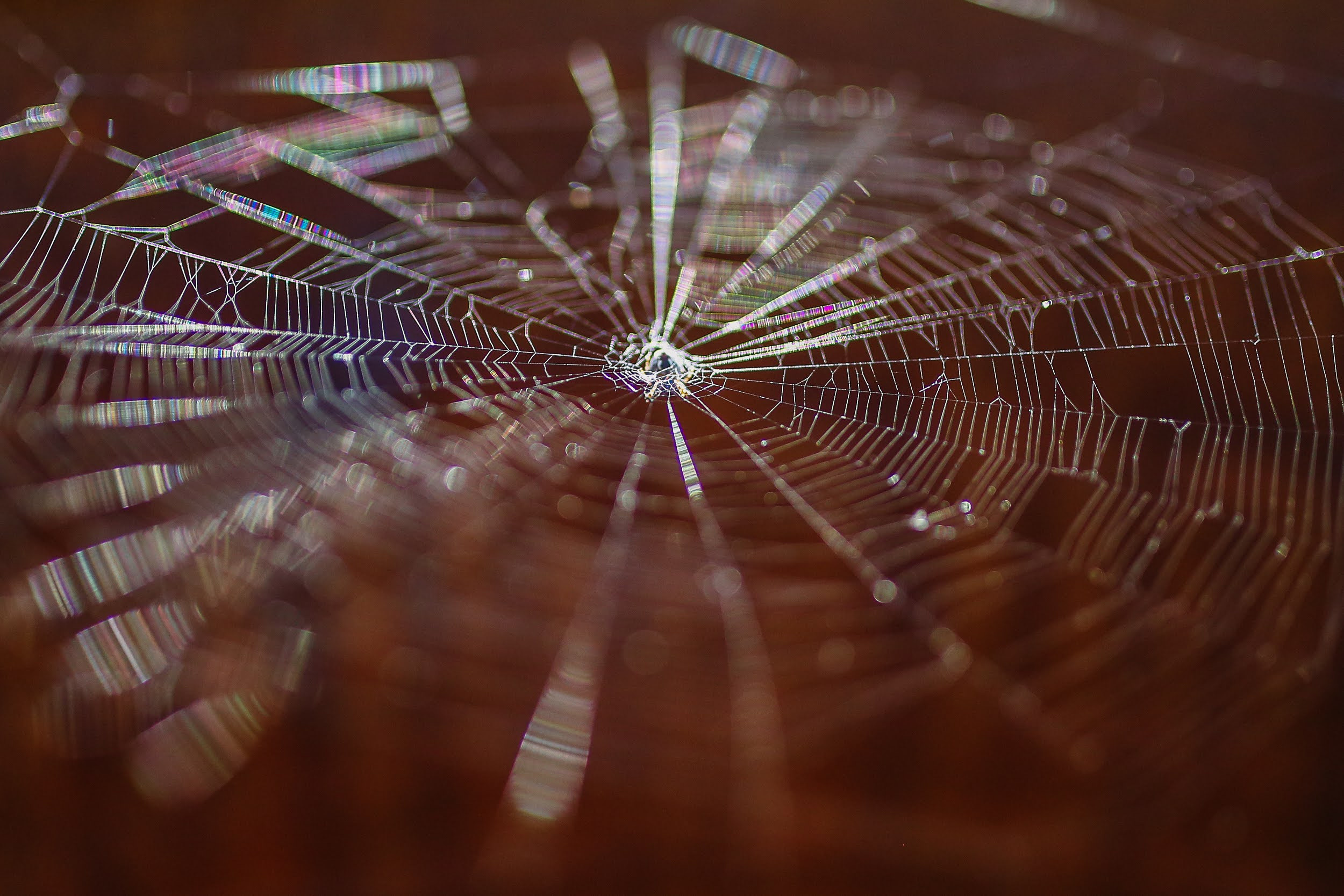 Часть I.  2018 — 2019