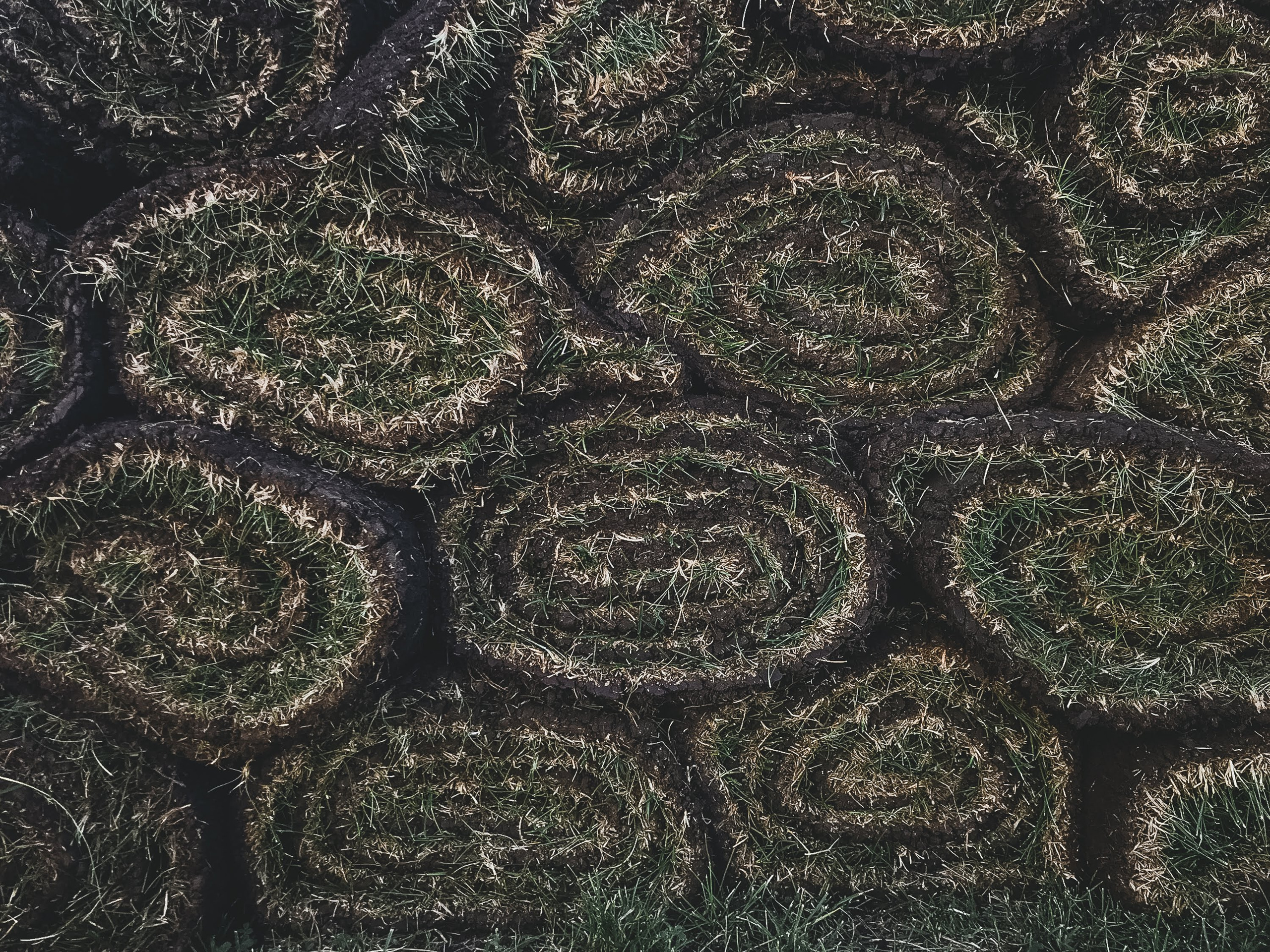 Часть II. 2019 — 2020. Наталья Чернобровкина — междисциплинарный художник