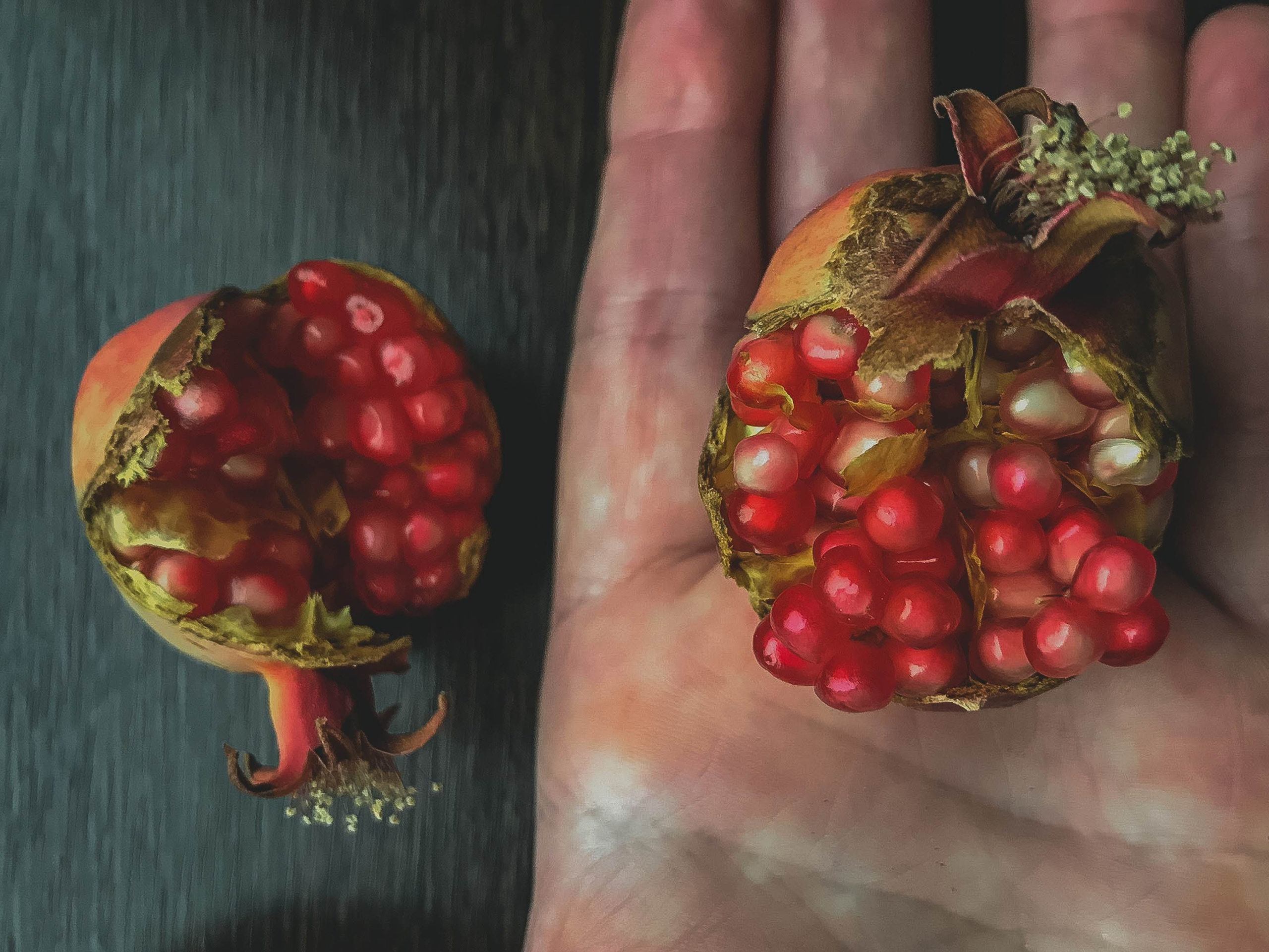 Часть II. 2019 — 2020. Наталья Чернобровкина — междисциплинарный художник