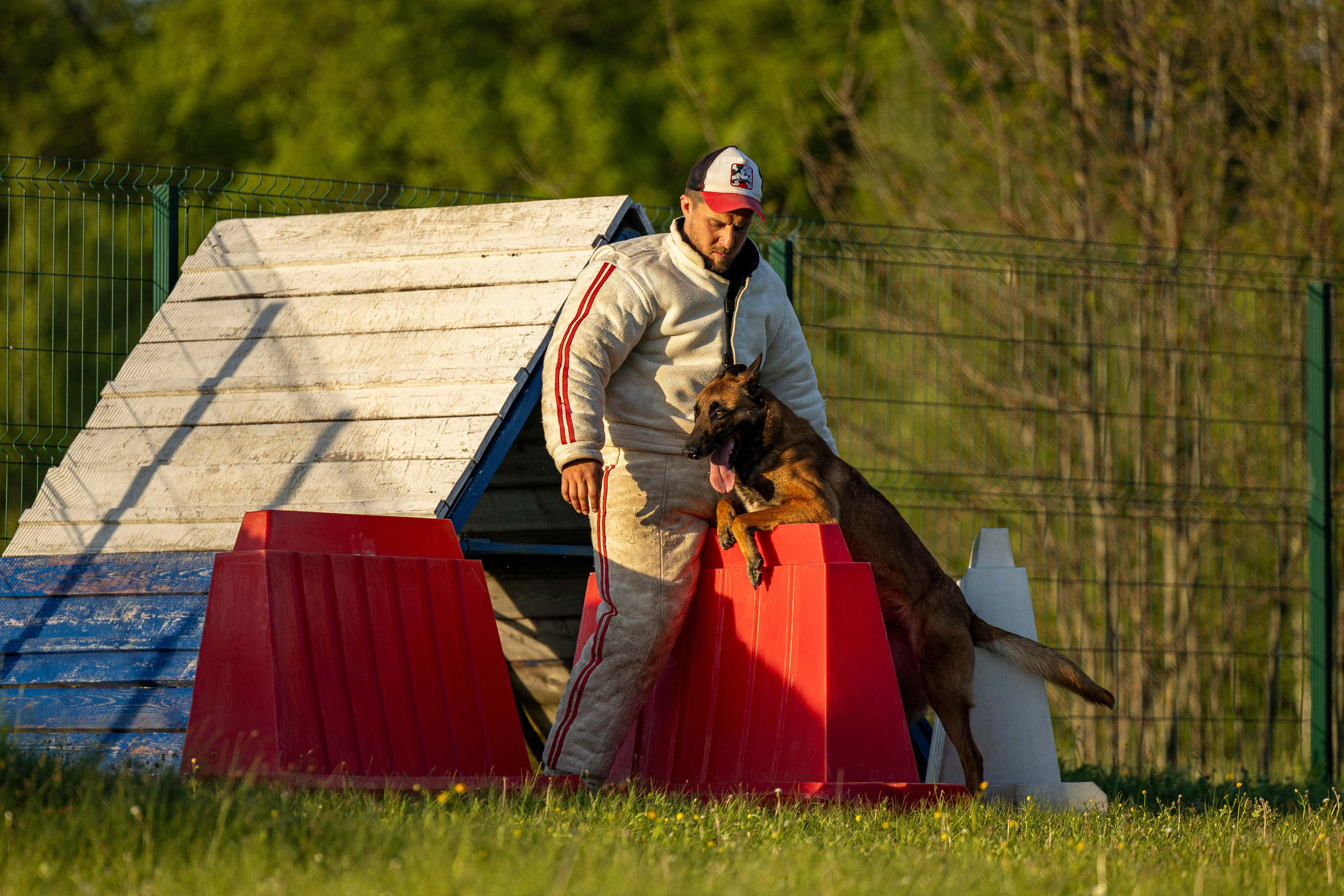 Испытания по мондьорингу в Нижнем Новгороде. Фотограф-анималист Анна Маринич