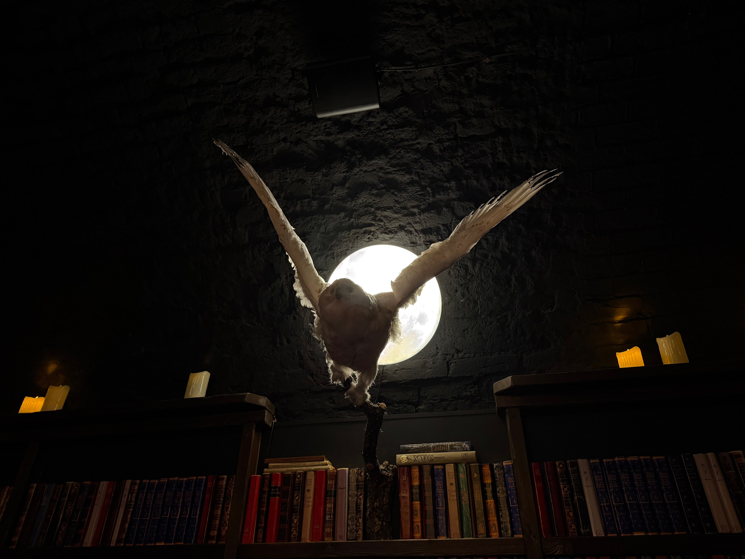 Экскурсия по барам: Тверская. ФотоЭкскурсии в Москве|Экскурсии в Москве с фотографом