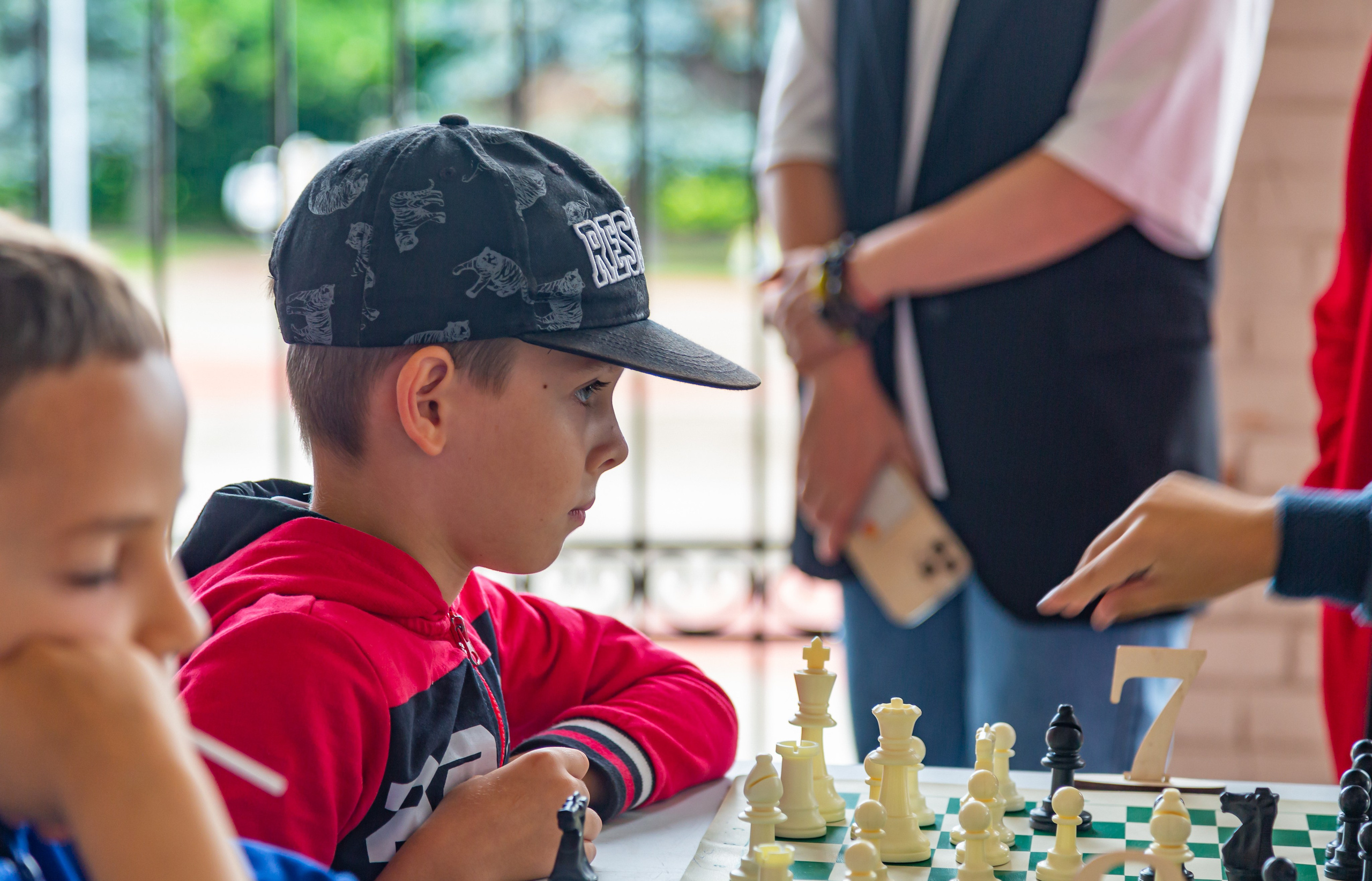 Шахматный турнир в Шушарах Санкт-Петербург. Светлая сторона