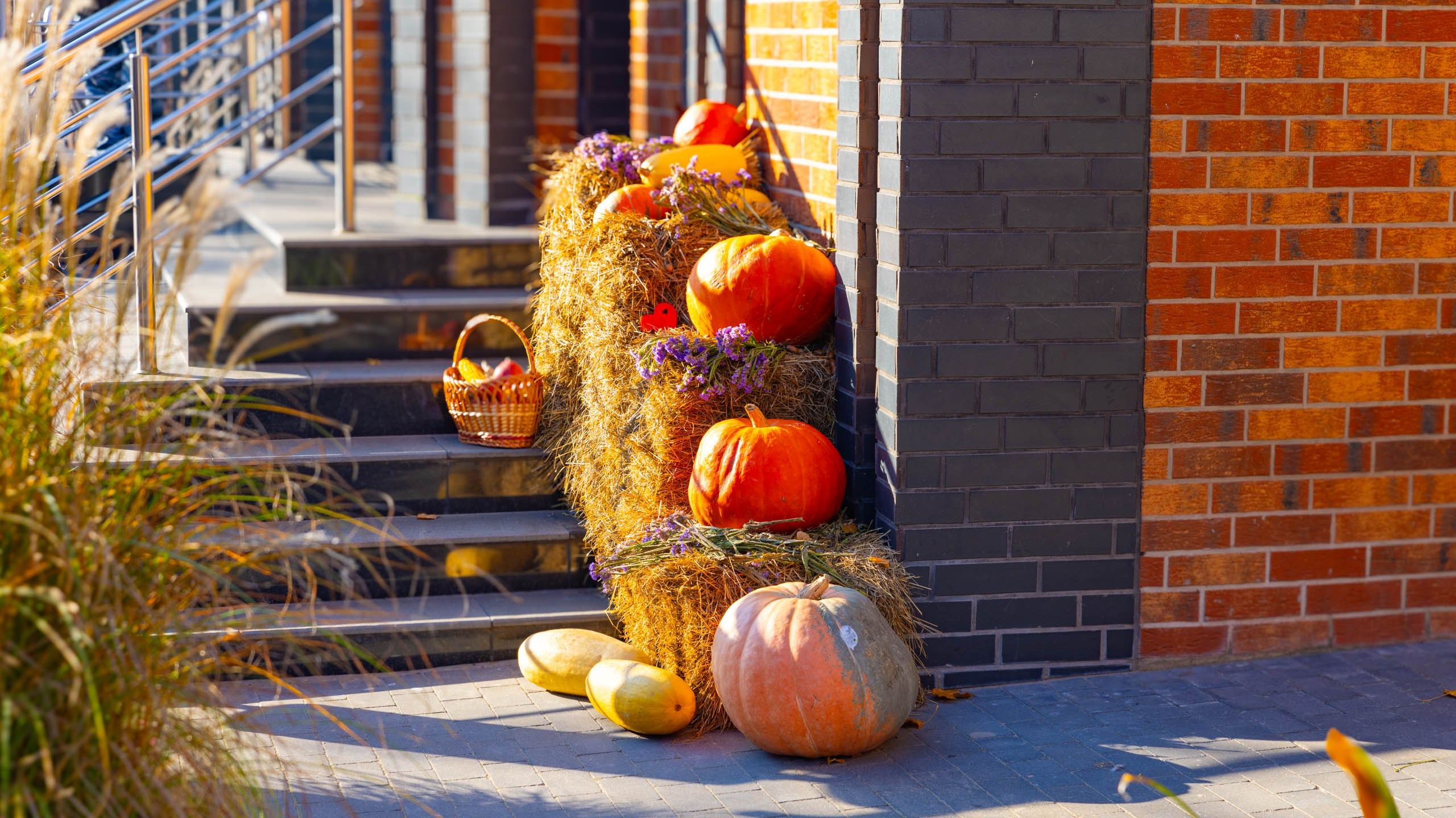 2024 10 Зеленоградск, Светлогорск, Куршская коса. Фотографии