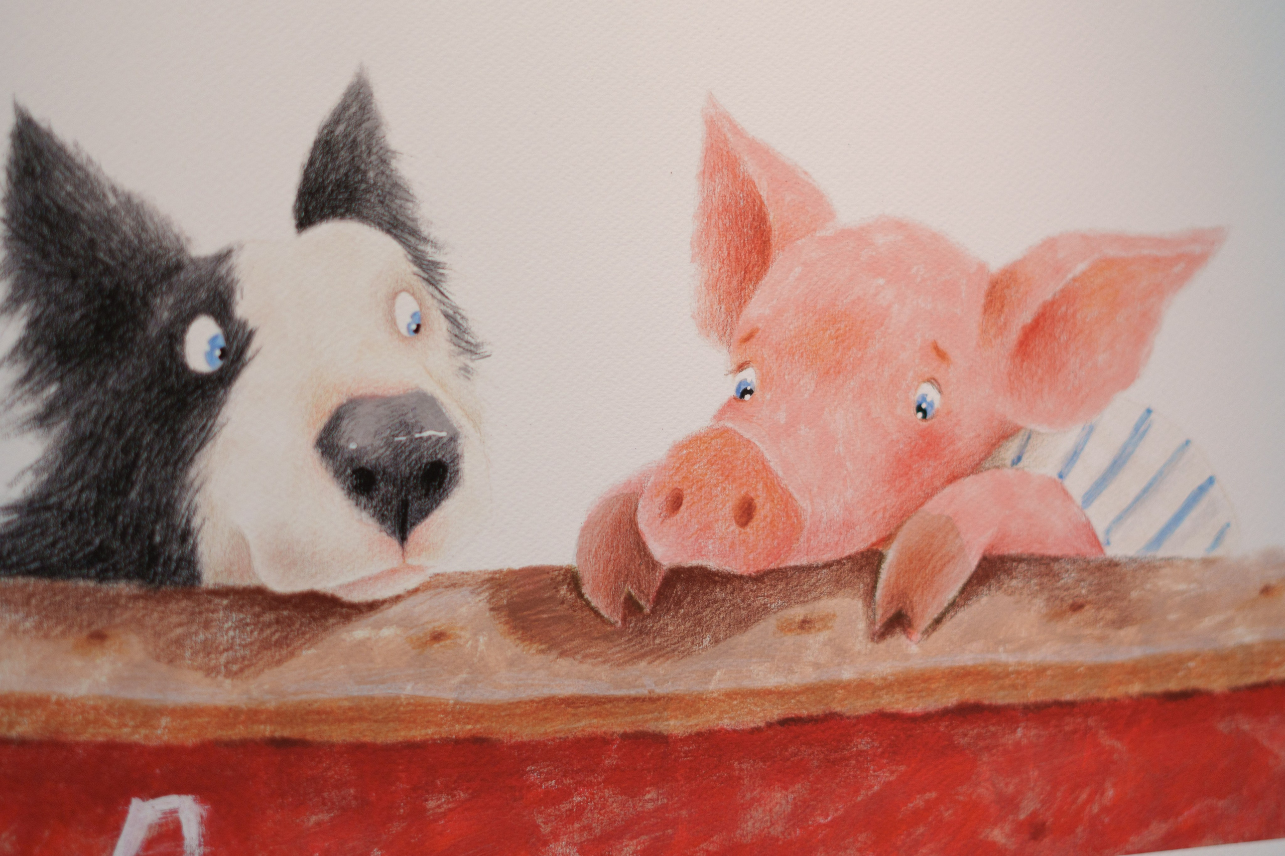 Открытие 11 фестиваля анималистики «Зооарт». Фотограф в Санкт-Петербурге Ибрагимова Алина