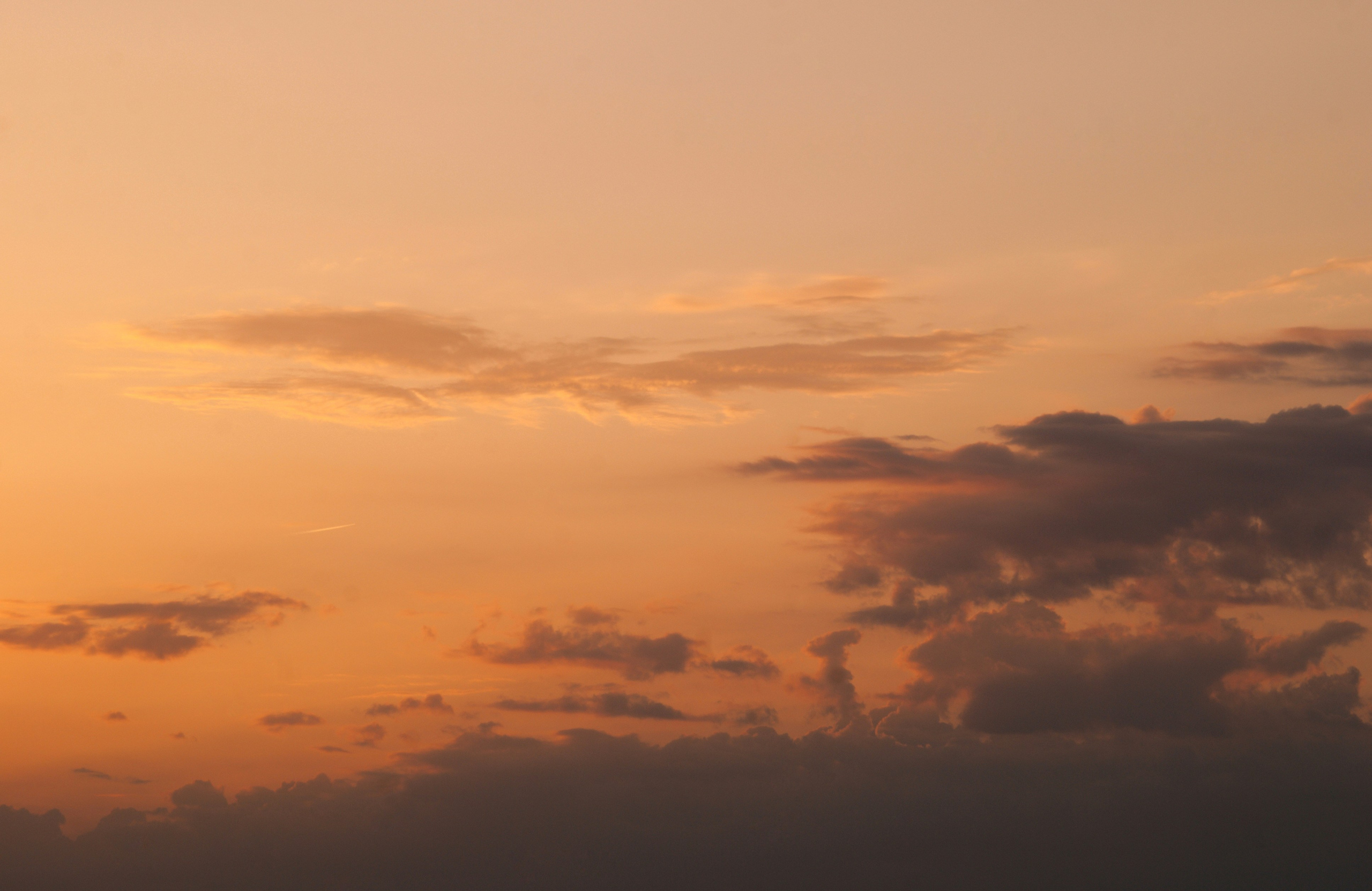 Этот прекрасный мир