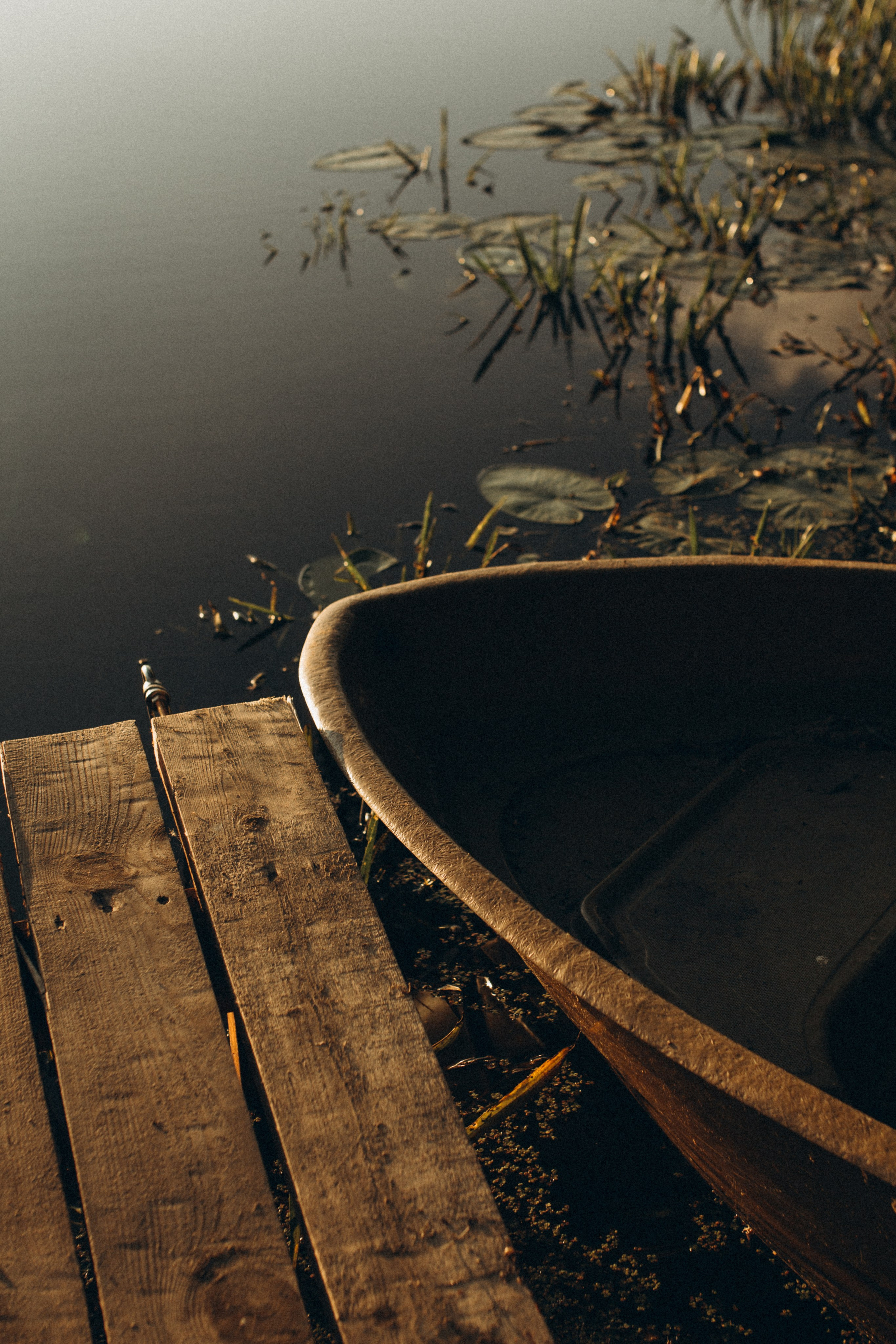 Закатная съемка. Ph.nataluuna ФОТОГРАФ СЕРГИЕВ ПОСАД