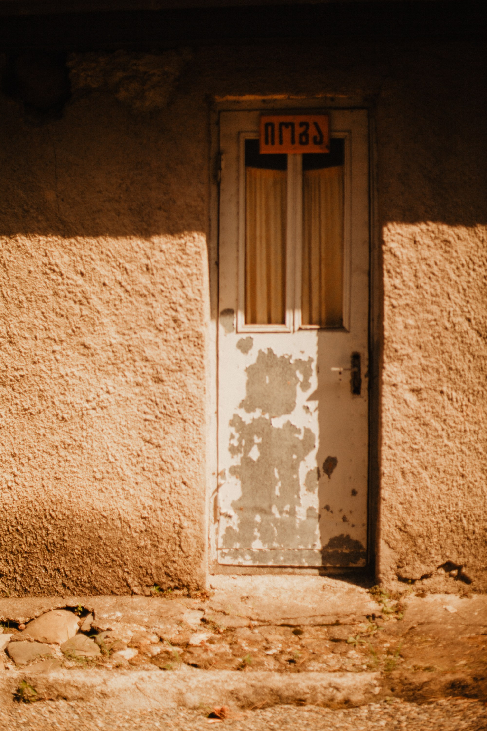 Грузинские каникулы. Violetta Skripka